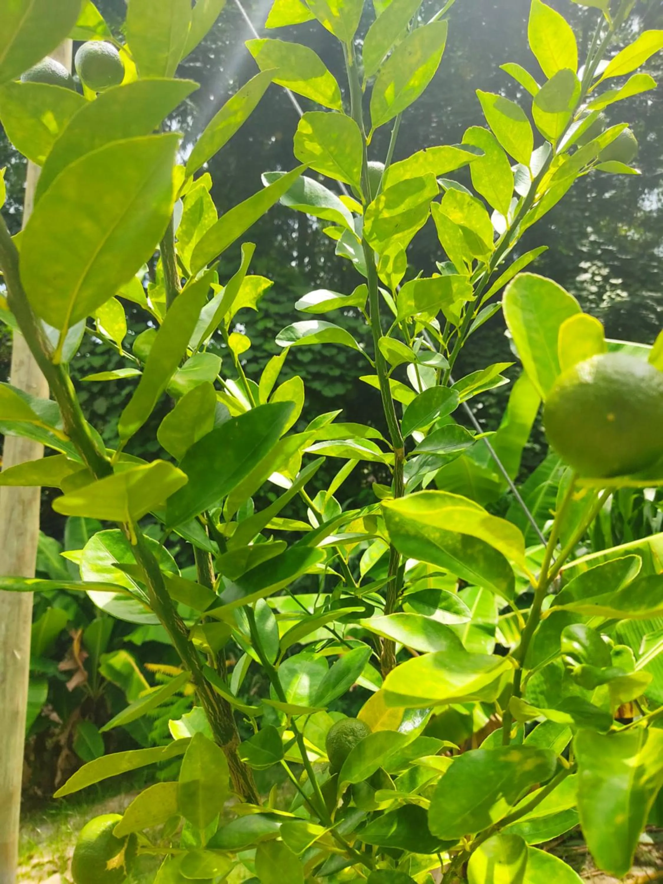 Natural landscape in Kanasuk Self catering Apartments