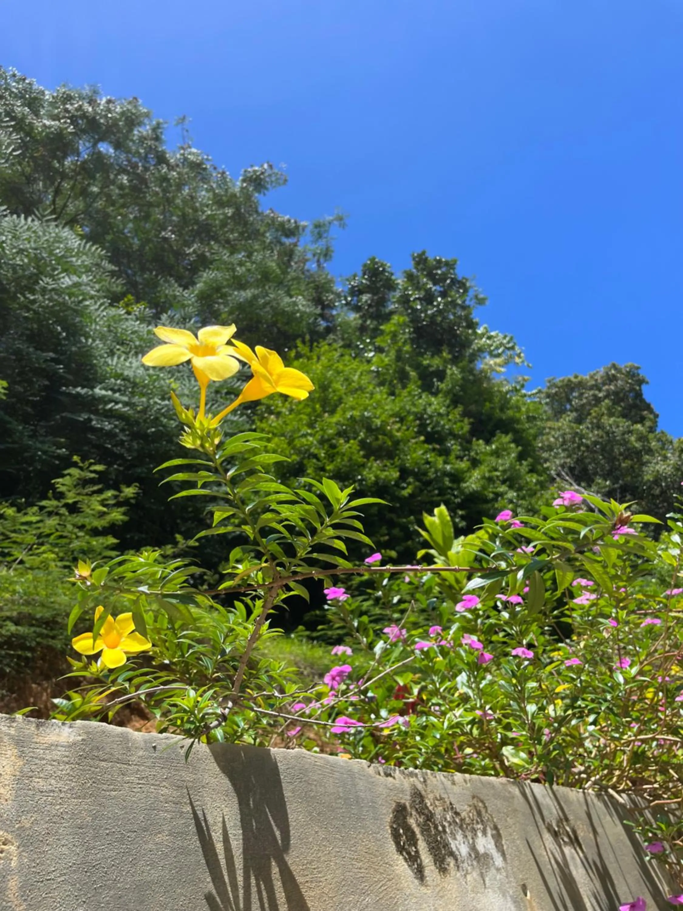 Garden in Kanasuk Self catering Apartments