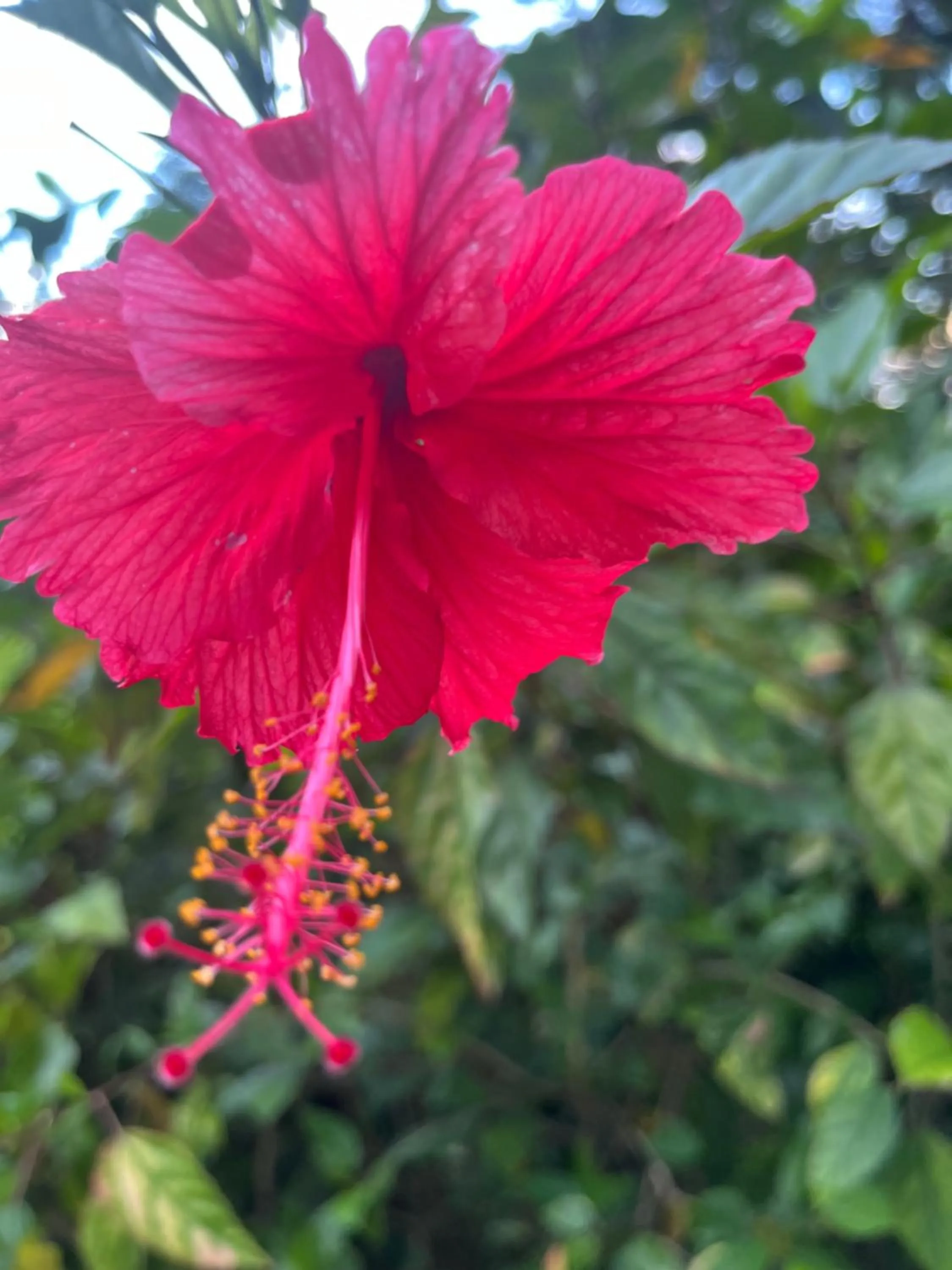 Day in Kanasuk Self catering Apartments