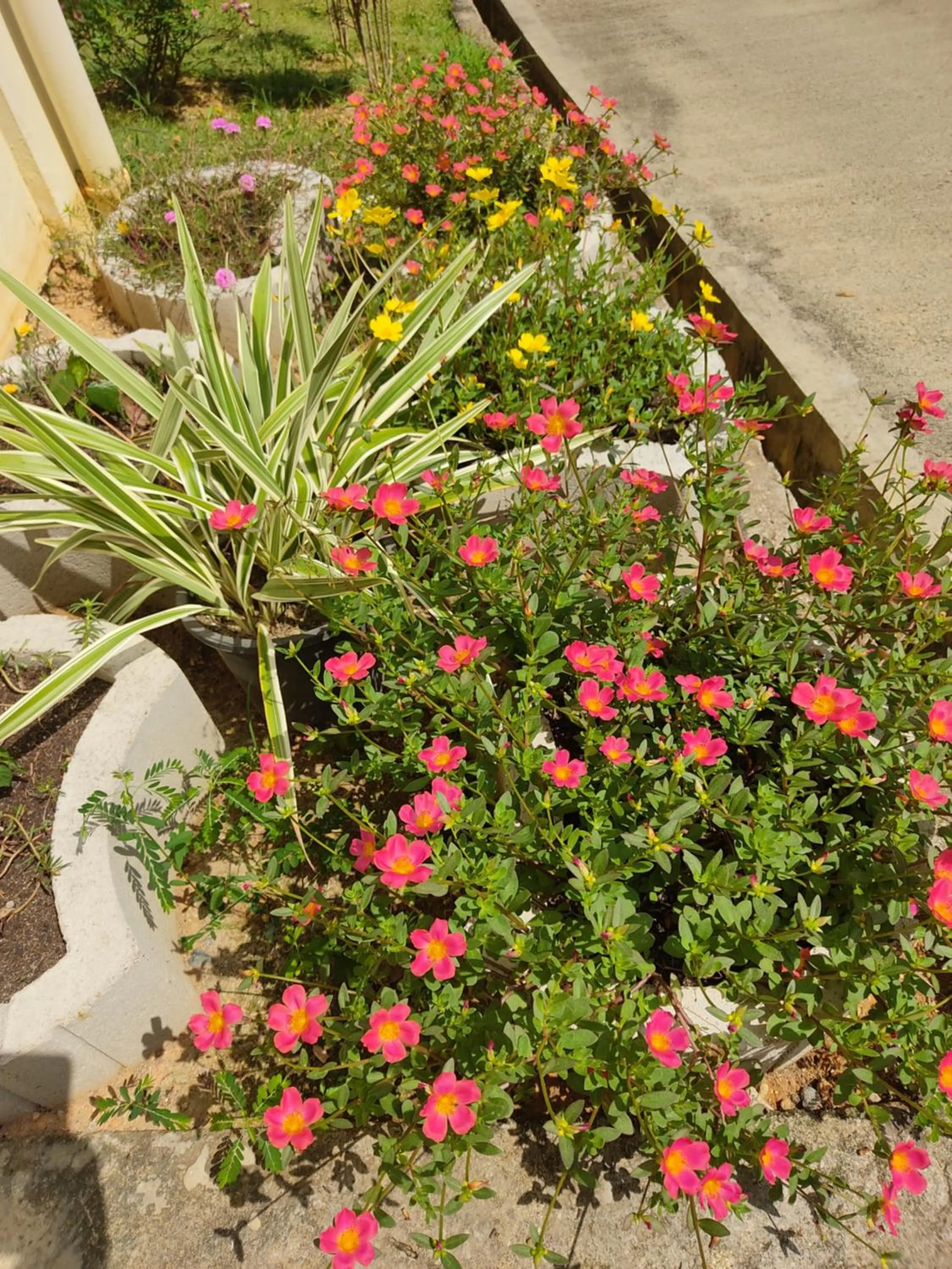 Garden in Kanasuk Self catering Apartments