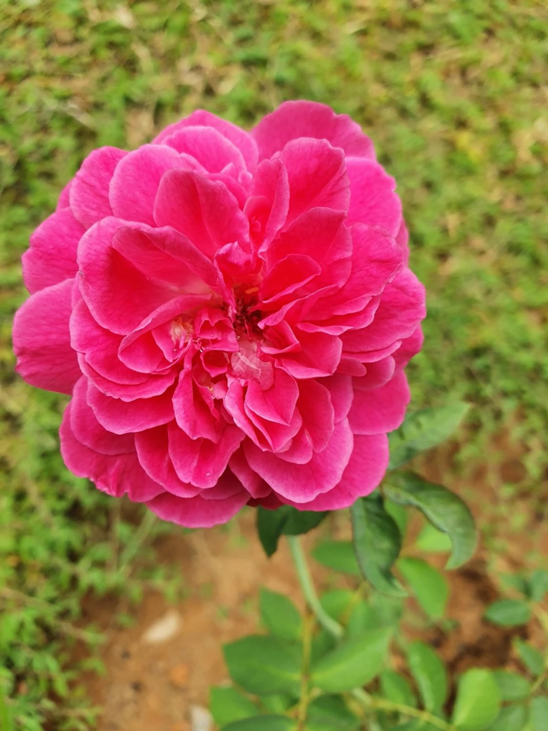 Garden in Kanasuk Self catering Apartments