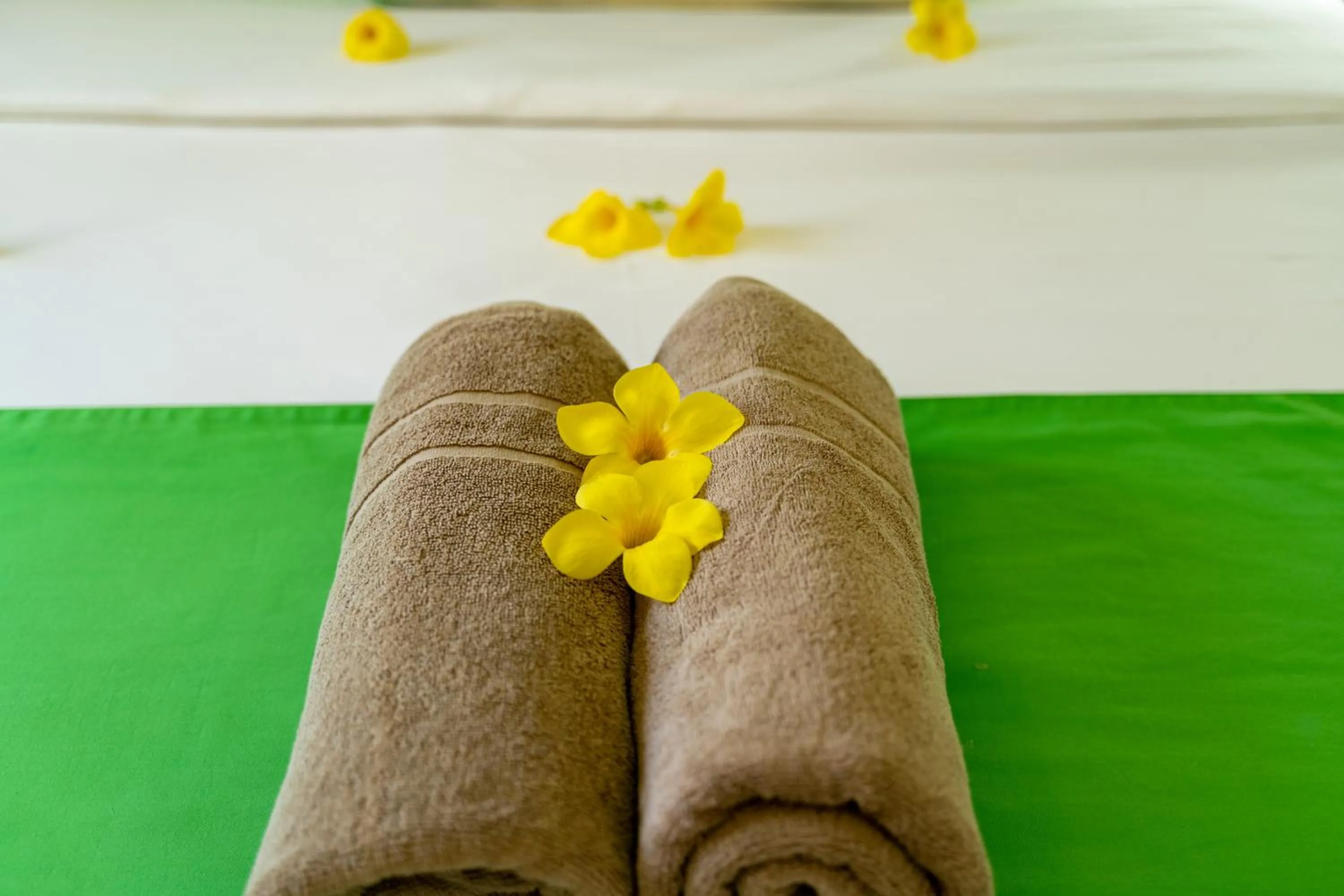 towels in Kanasuk Self catering Apartments