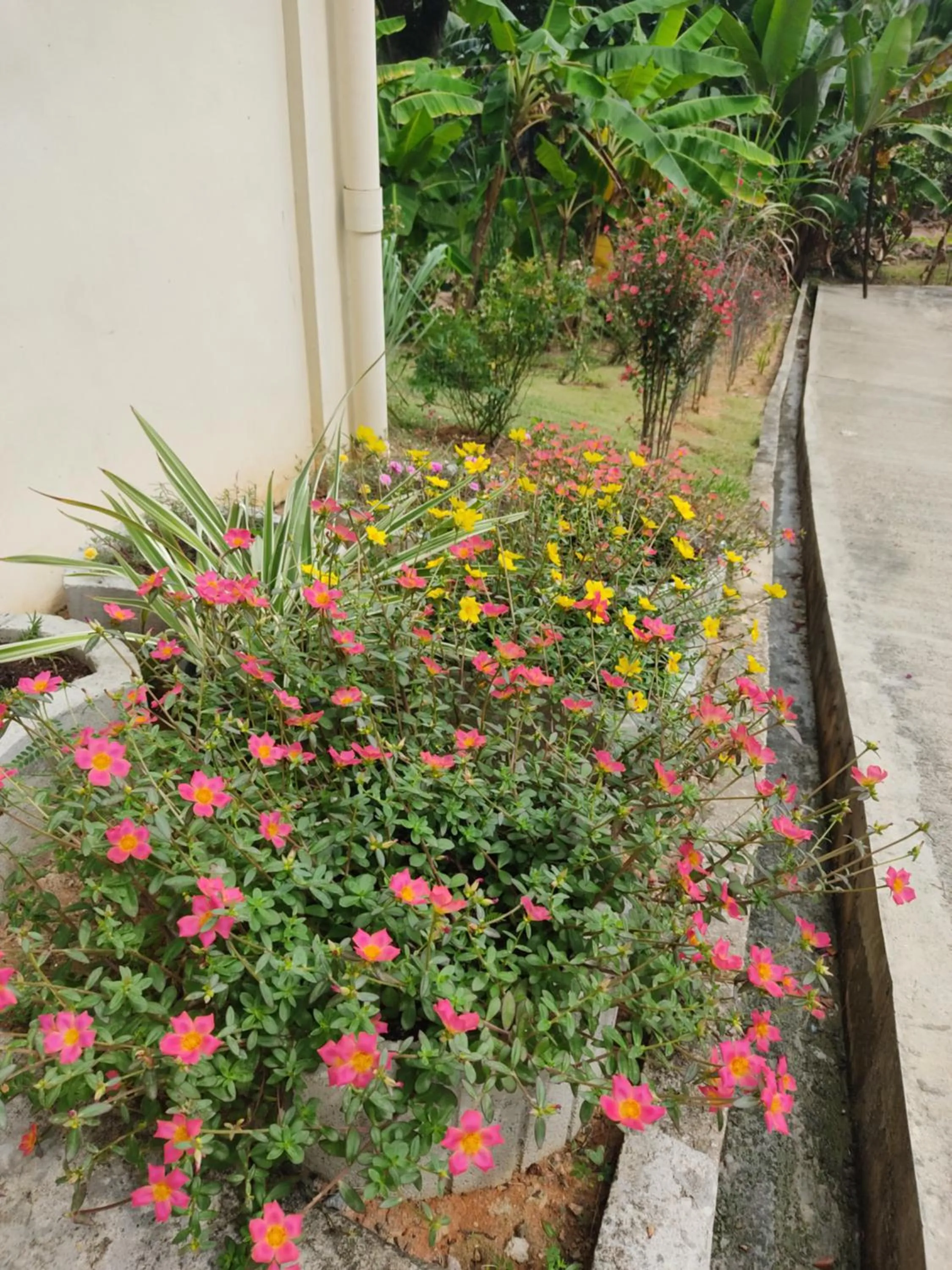 Day in Kanasuk Self catering Apartments