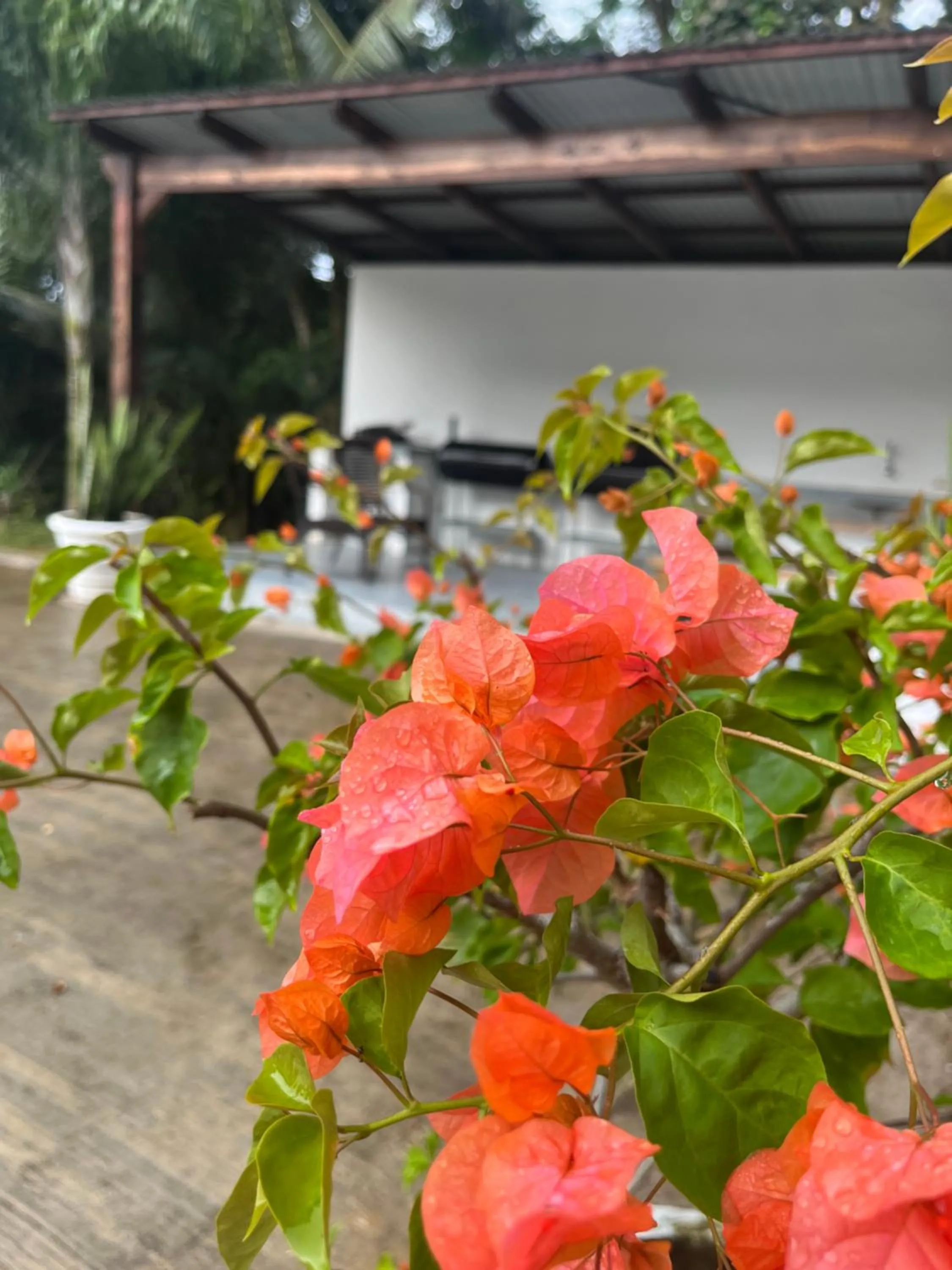 Day in Kanasuk Self catering Apartments