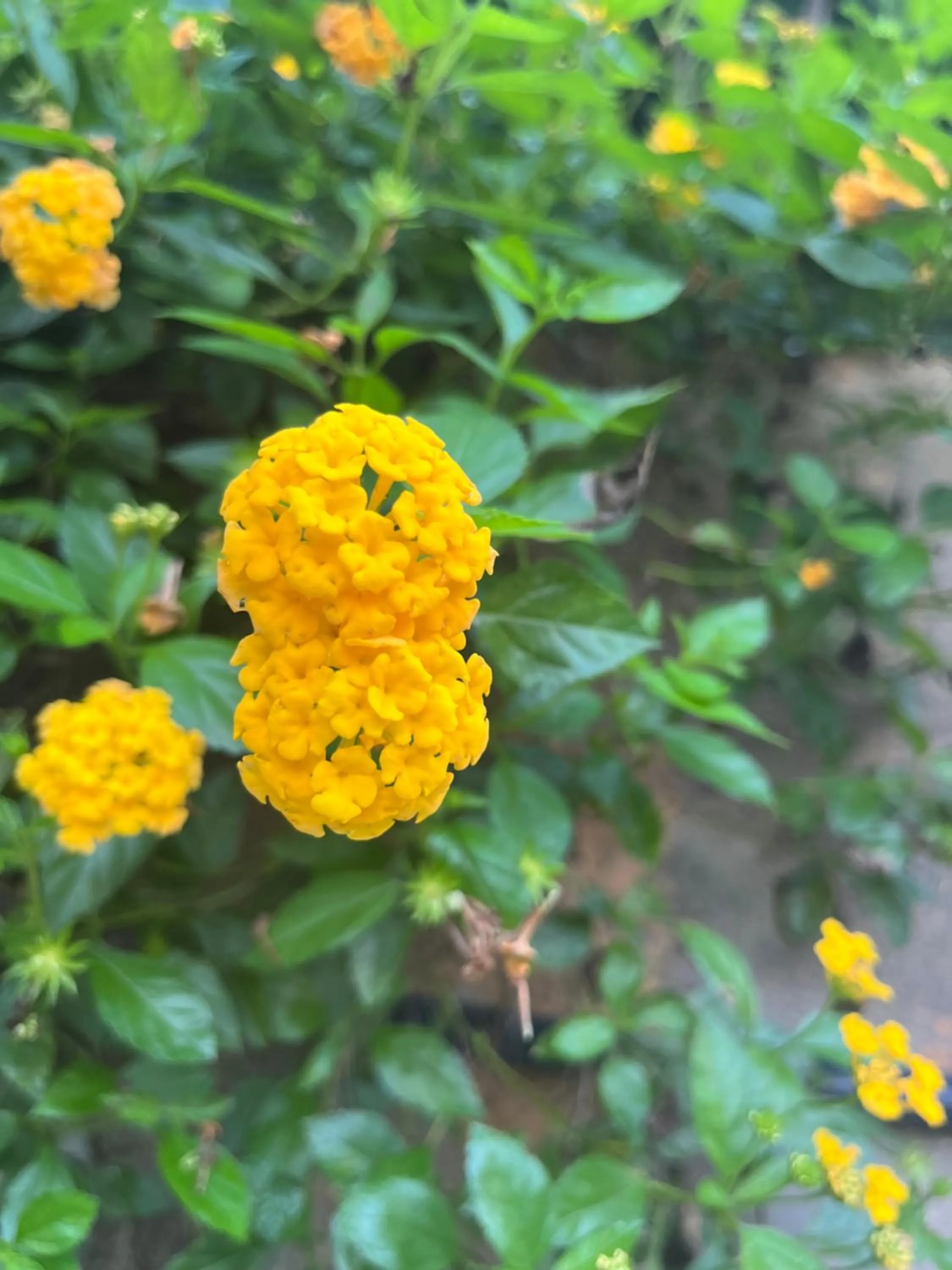 Day in Kanasuk Self catering Apartments