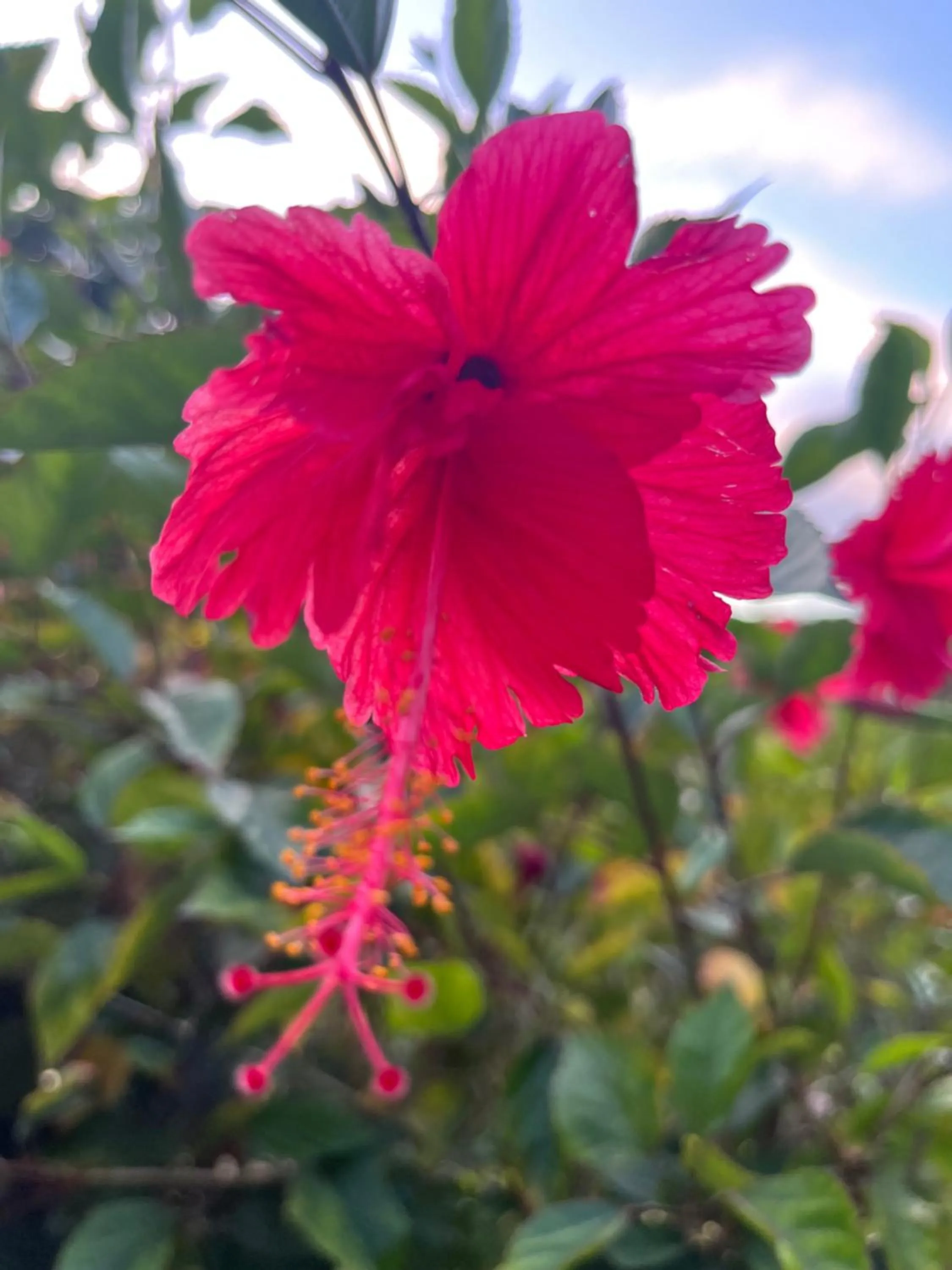 Spring in Kanasuk Self catering Apartments