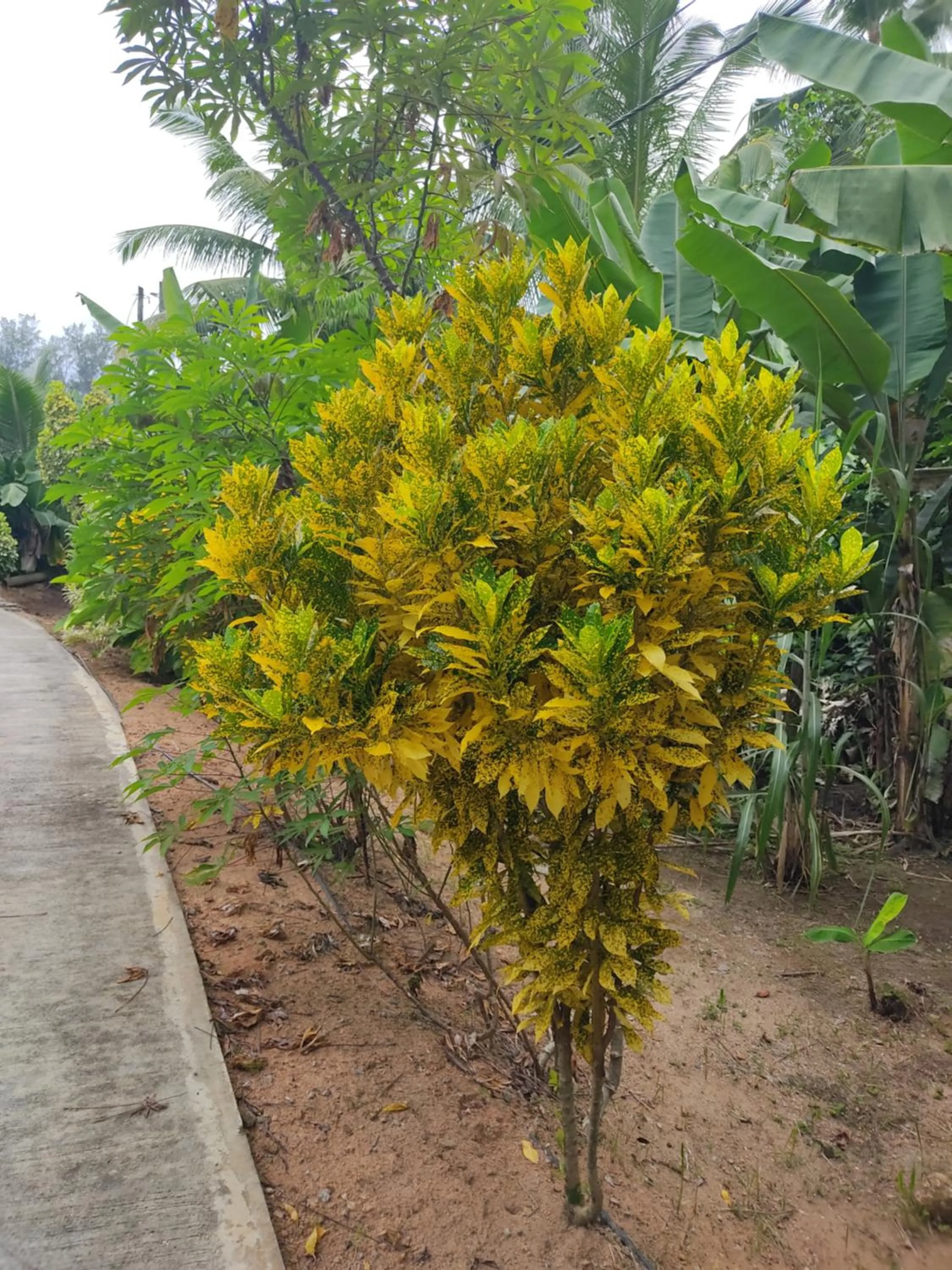 Garden in Kanasuk Self catering Apartments