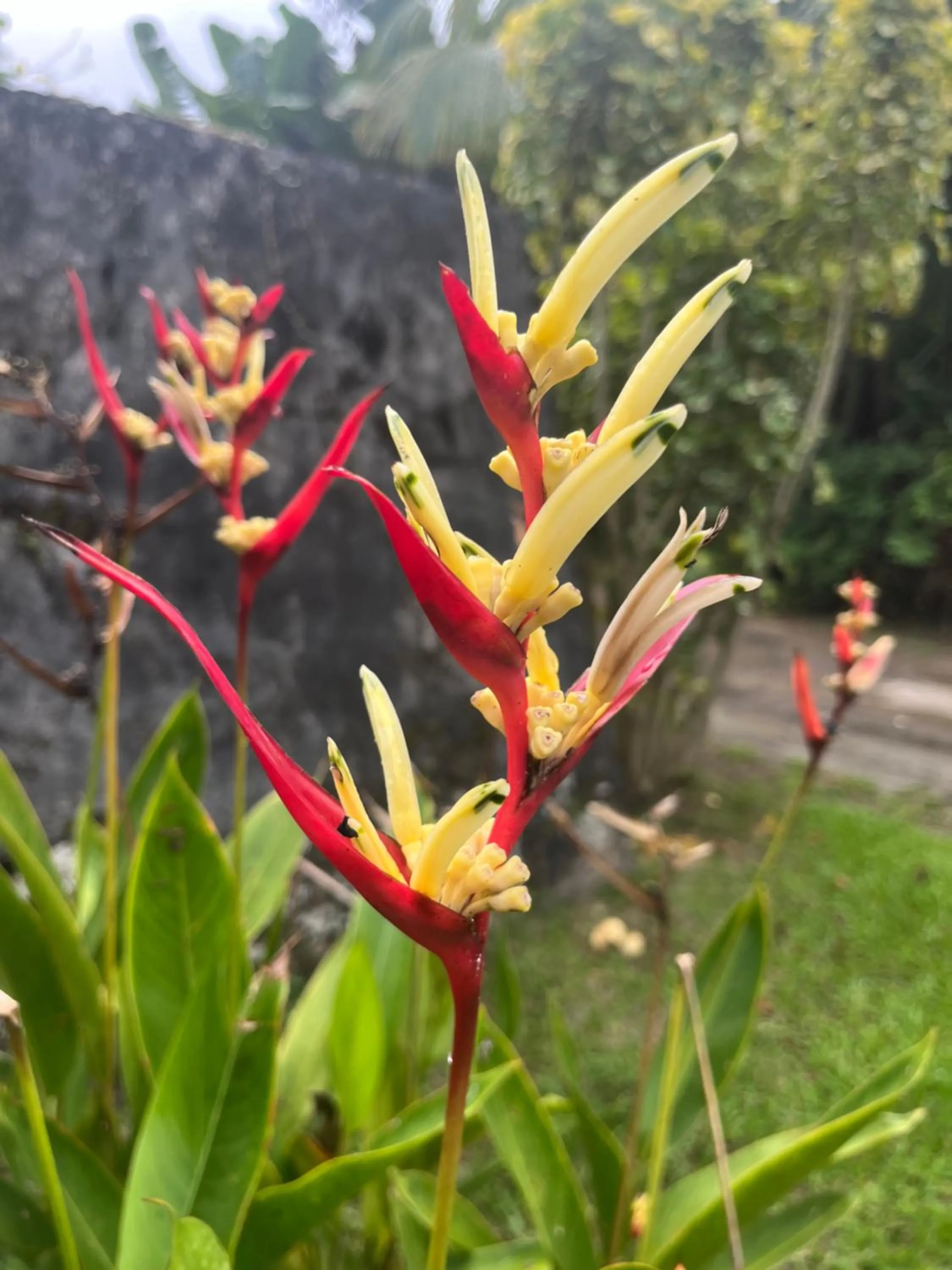 Day in Kanasuk Self catering Apartments