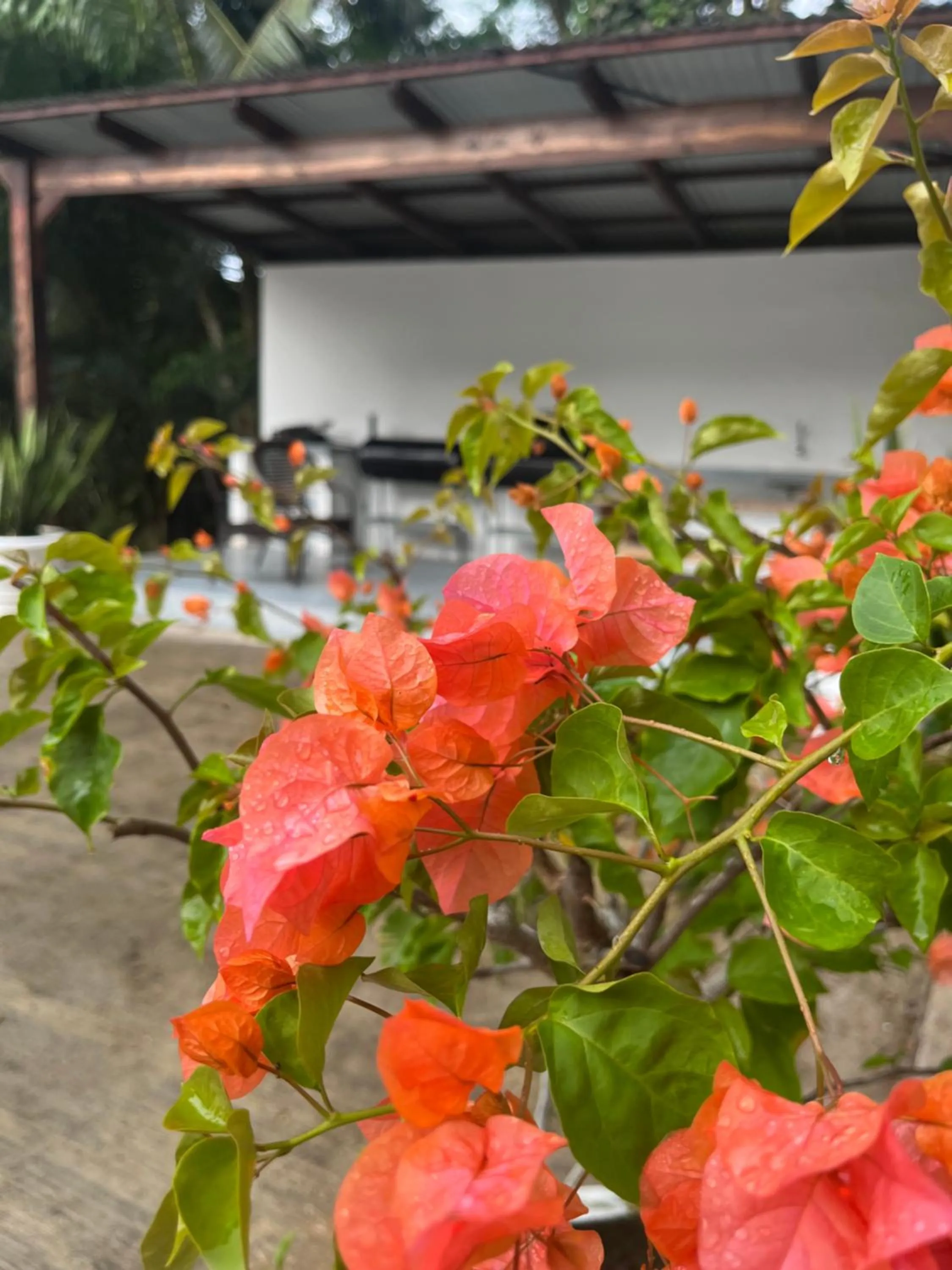 Day in Kanasuk Self catering Apartments