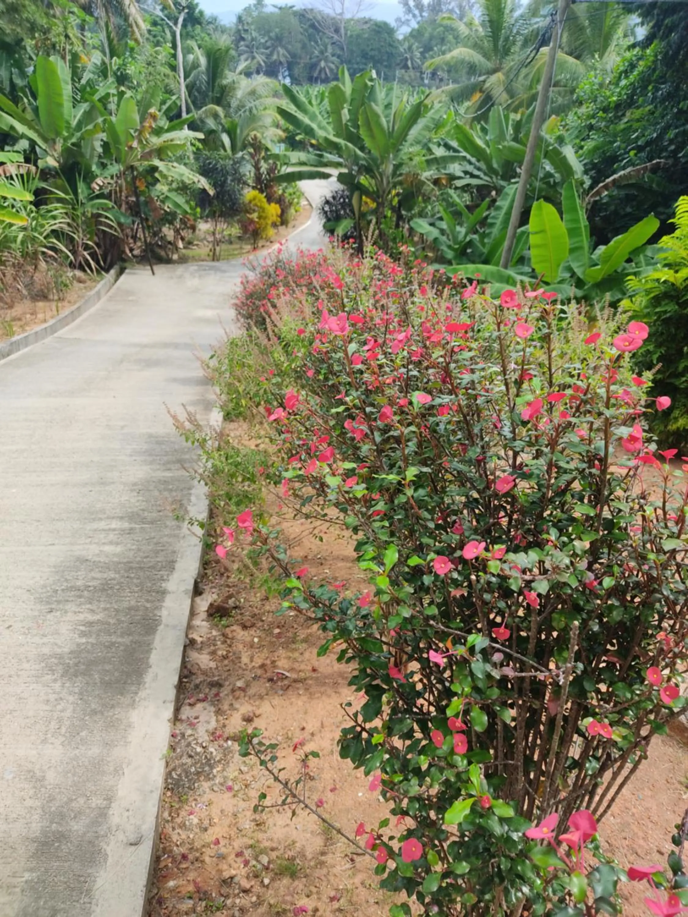 Garden in Kanasuk Self catering Apartments