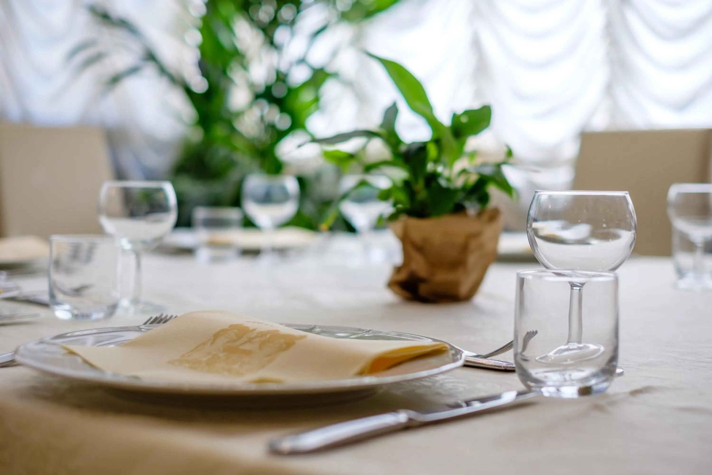 Food and drinks in Hotel Bristol