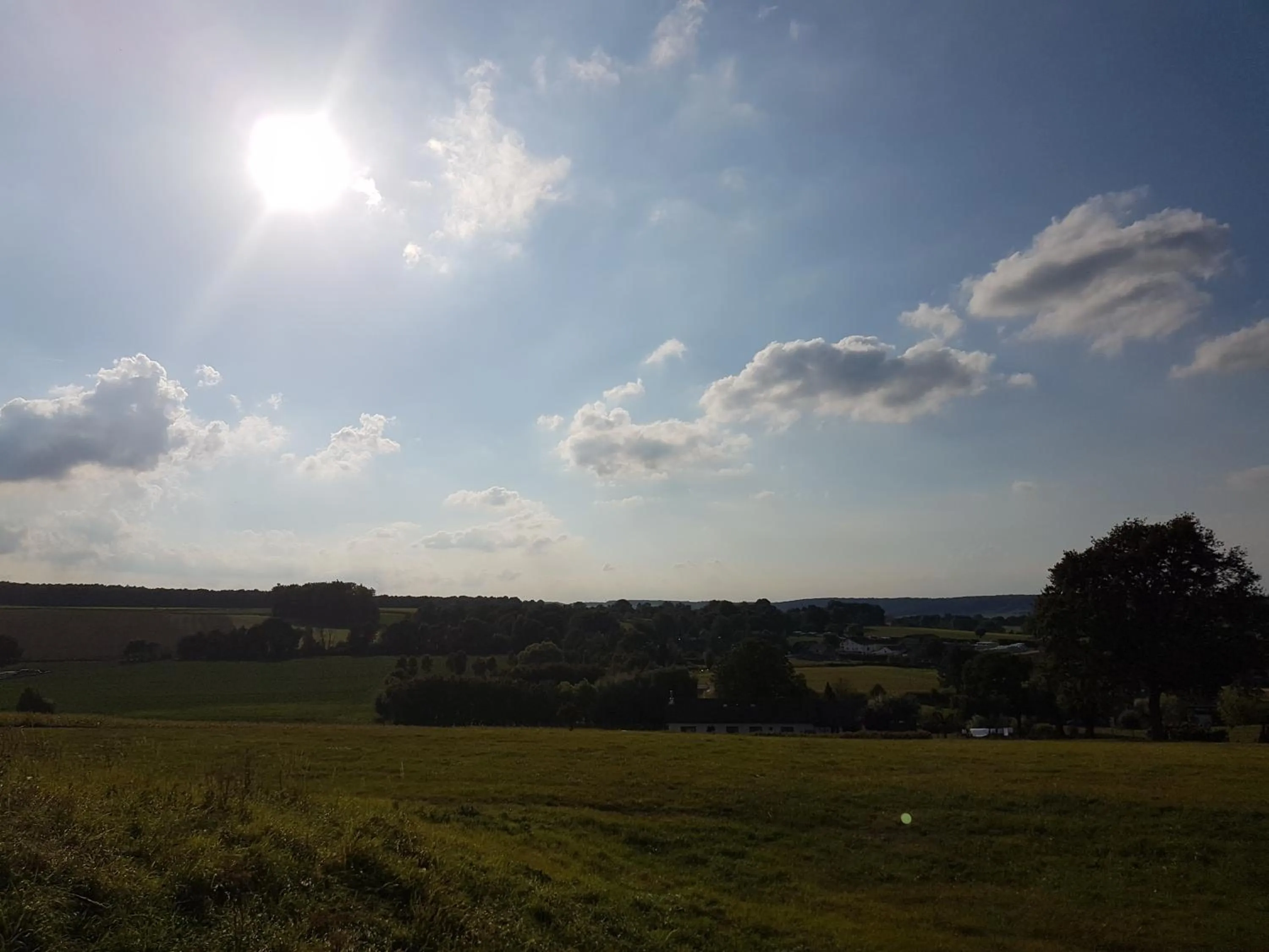 Natural landscape in Hotel Cuba Libre