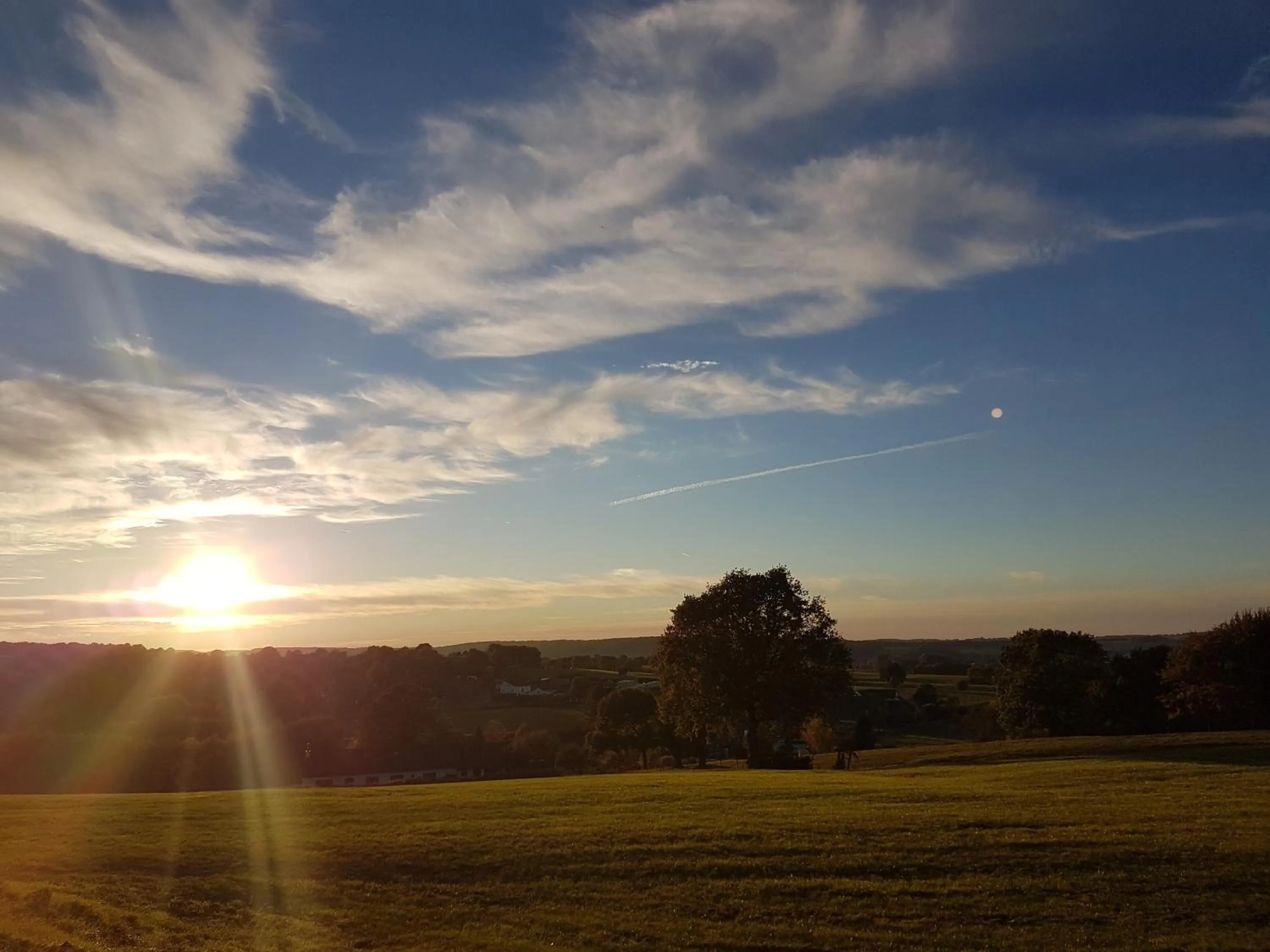 Natural landscape in Hotel Cuba Libre