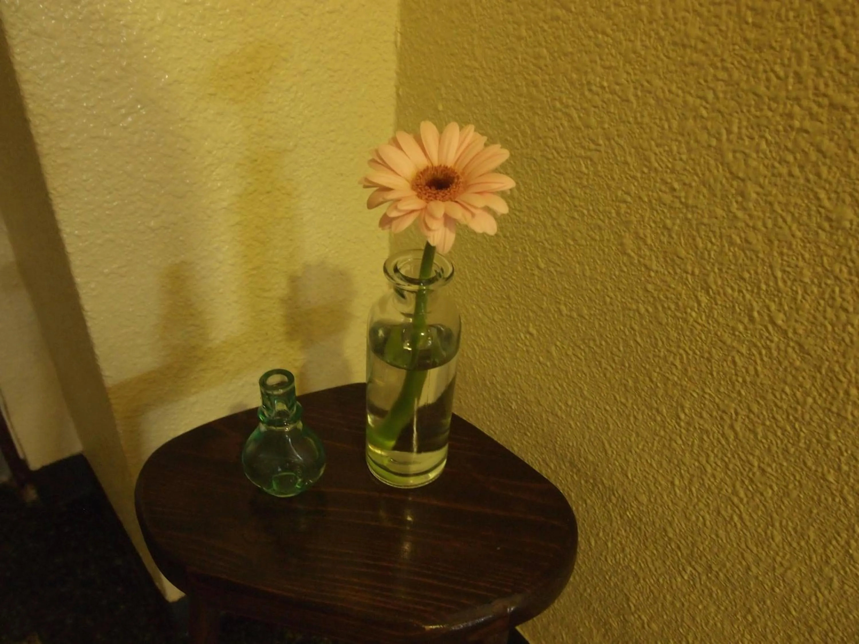 Decorative detail in Ishigakijima Hotel Olive