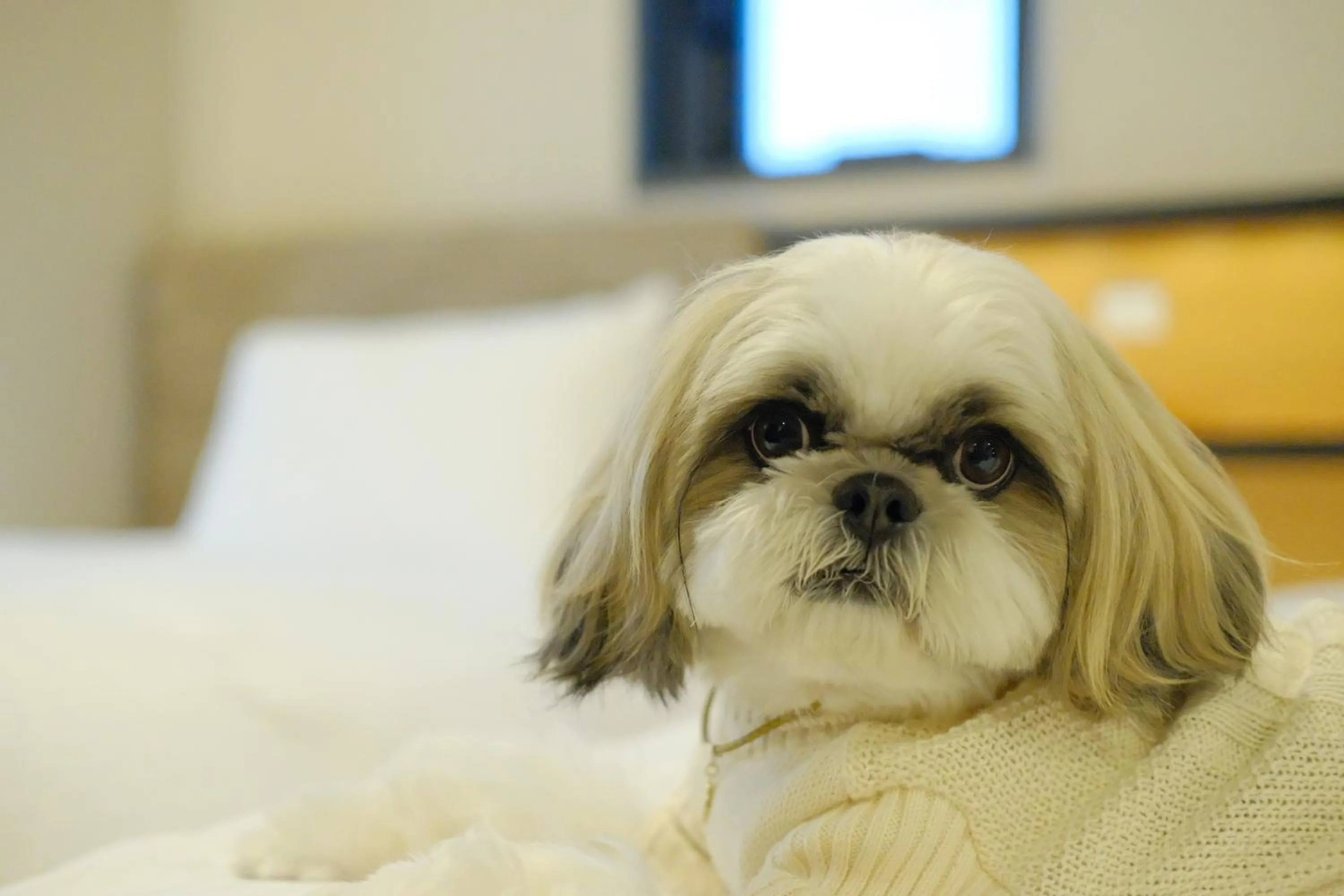 ICI HOTEL Asakusabashi