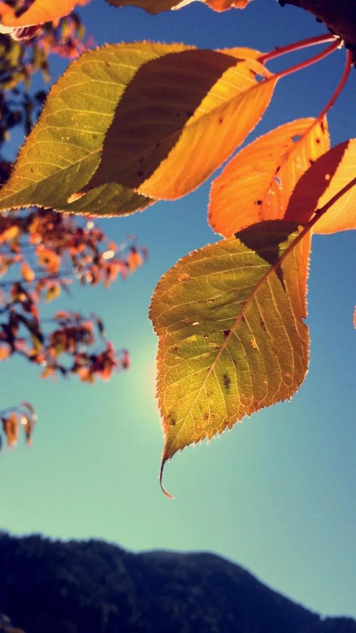Hiking in Hotel Ristorante Milano