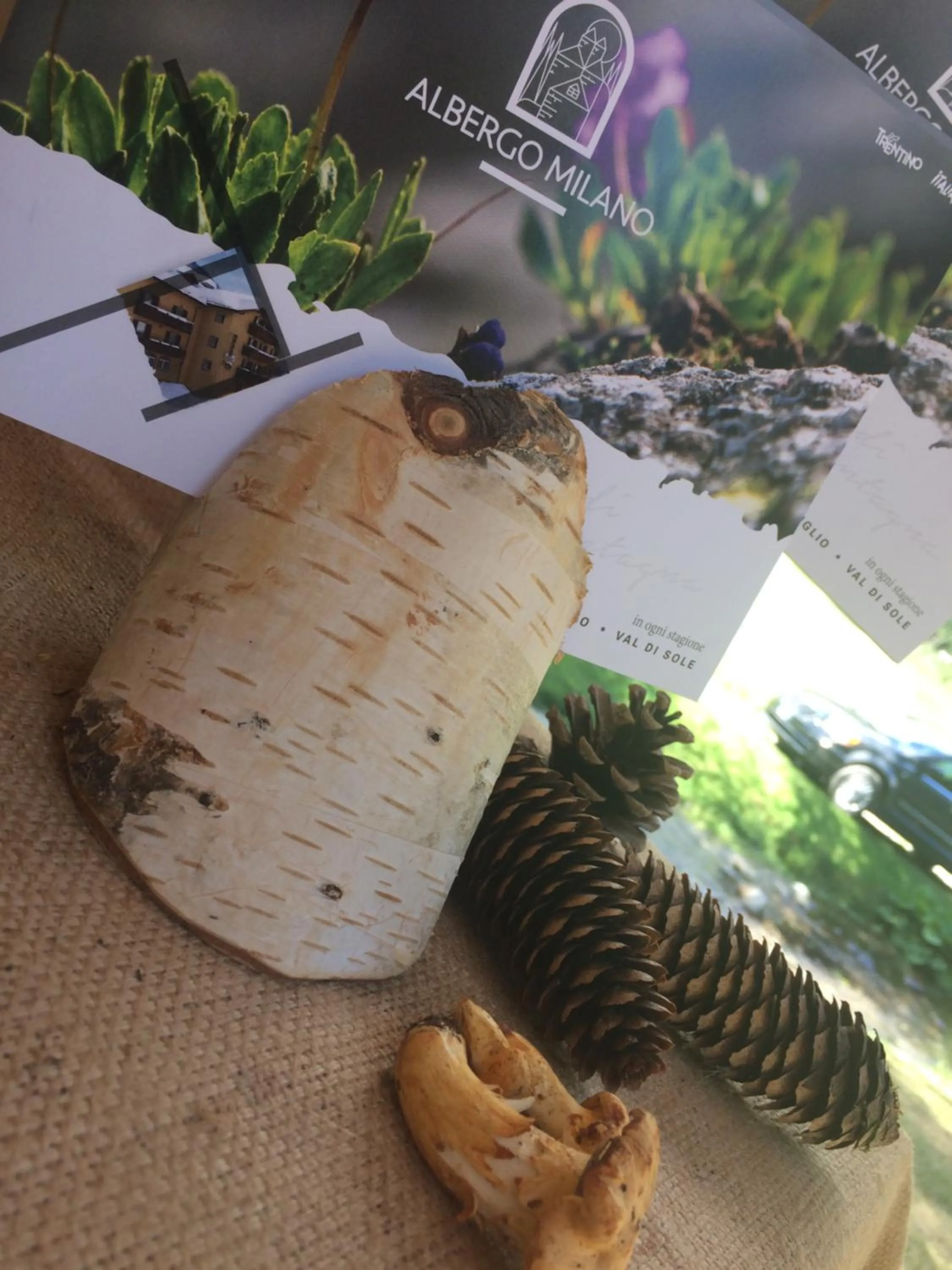 Nearby landmark in Hotel Ristorante Milano