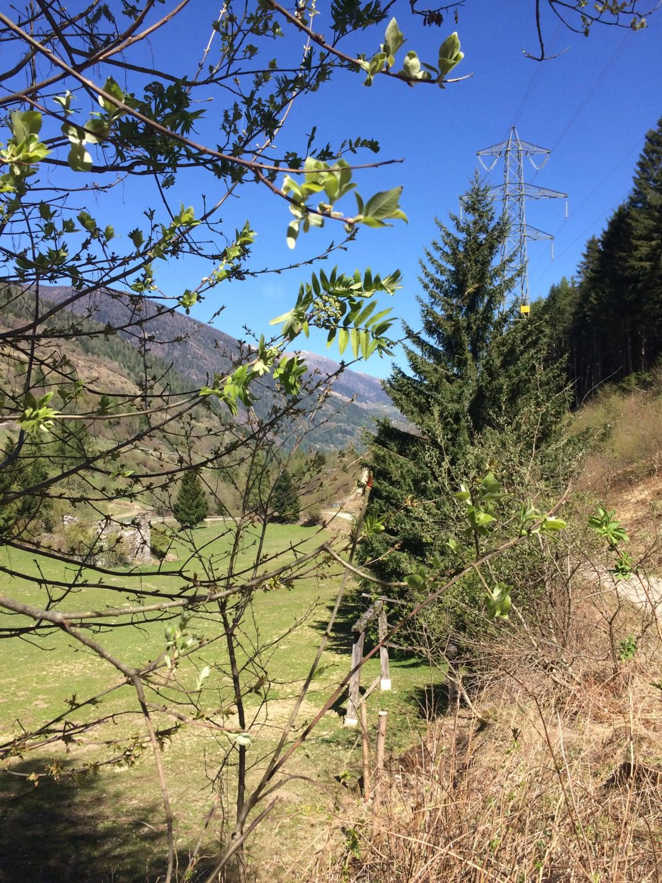 Hiking in Hotel Ristorante Milano