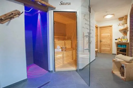 Spa and wellness centre/facilities in Hotel Ristorante Milano