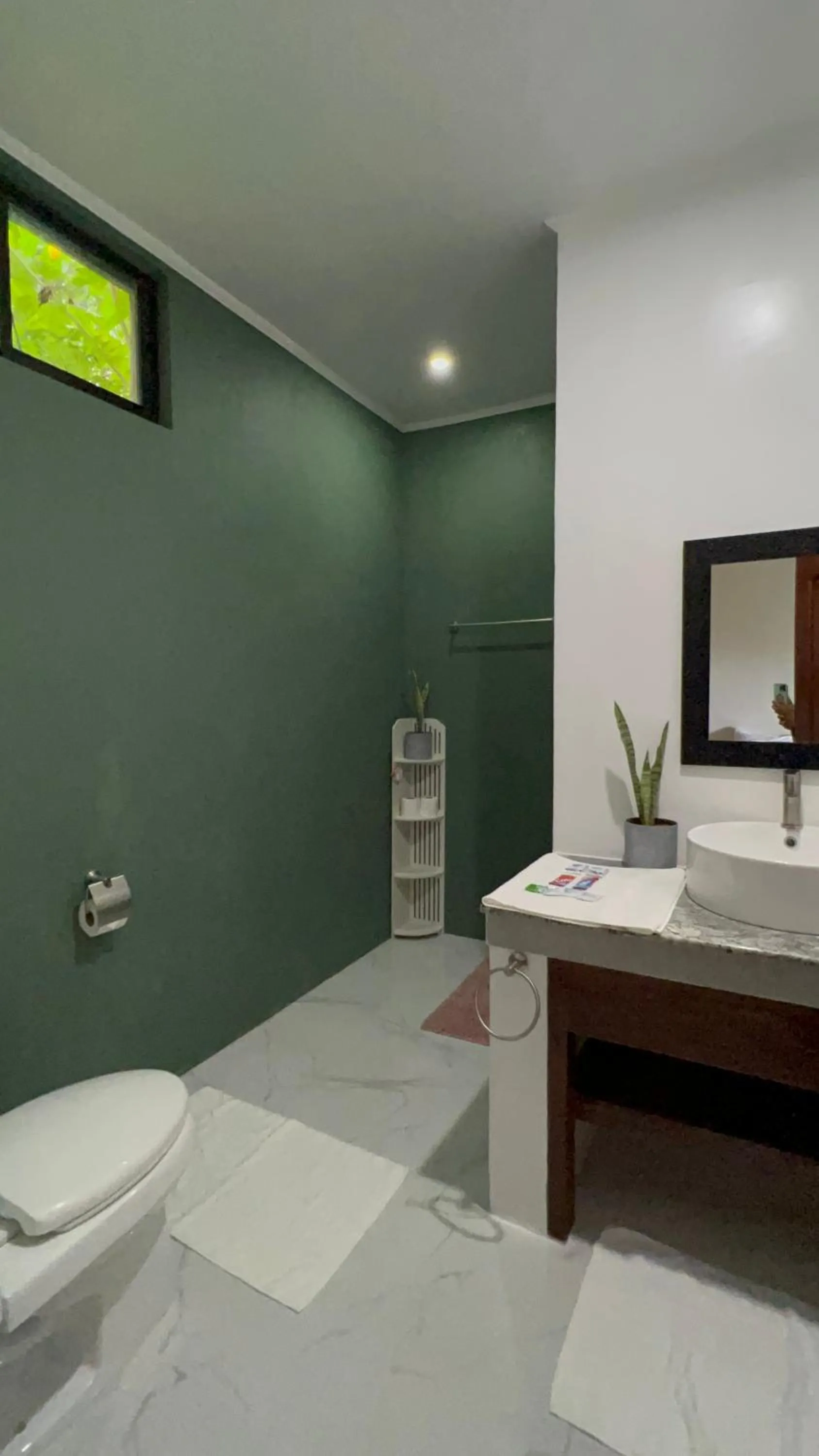 Toilet in Vailtin Home Point