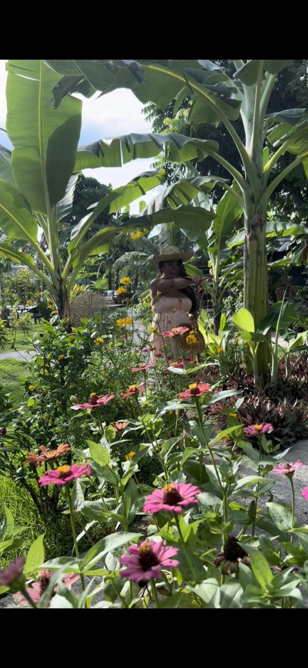 Day in Vailtin Home Point