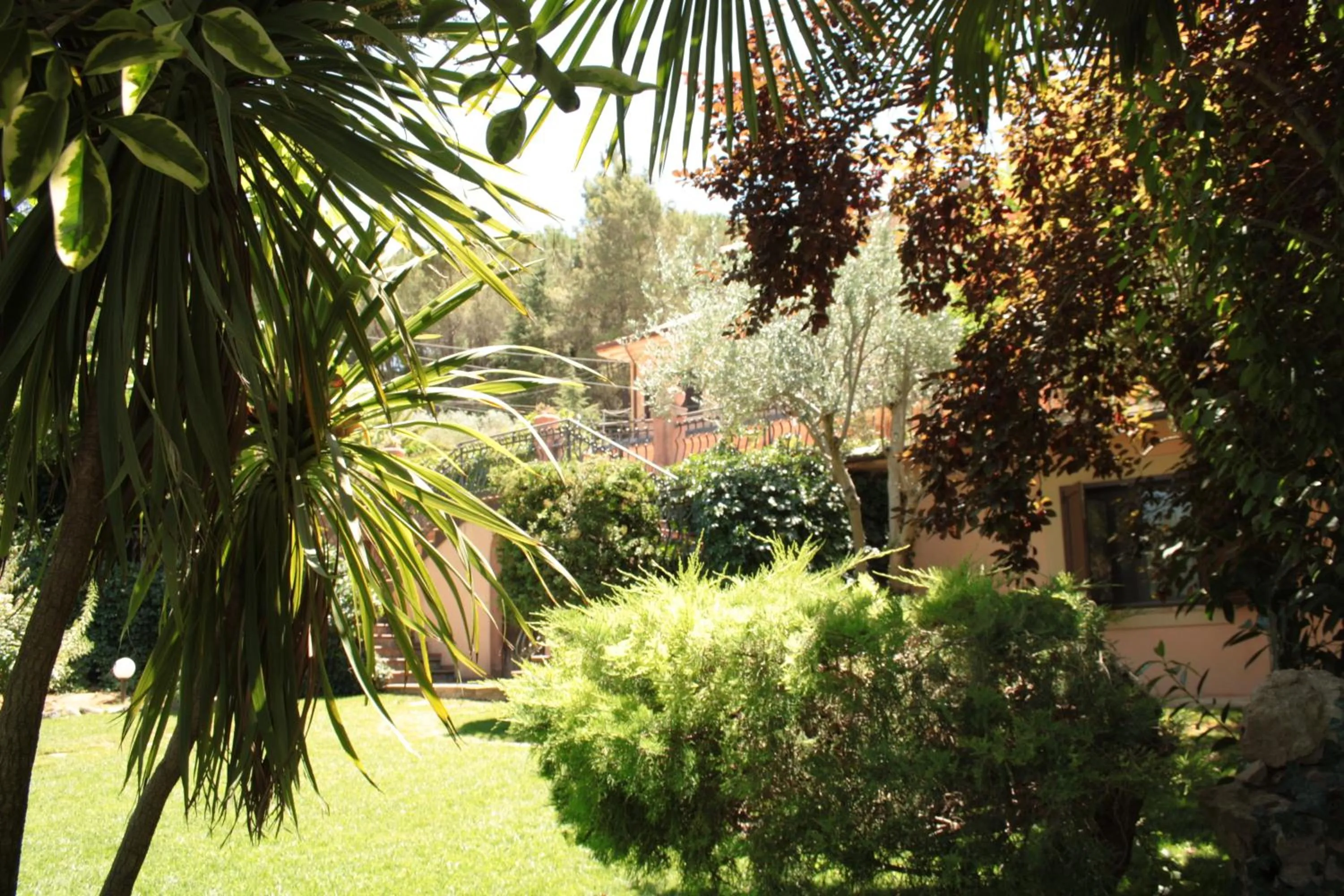 Garden in Villa Clementine