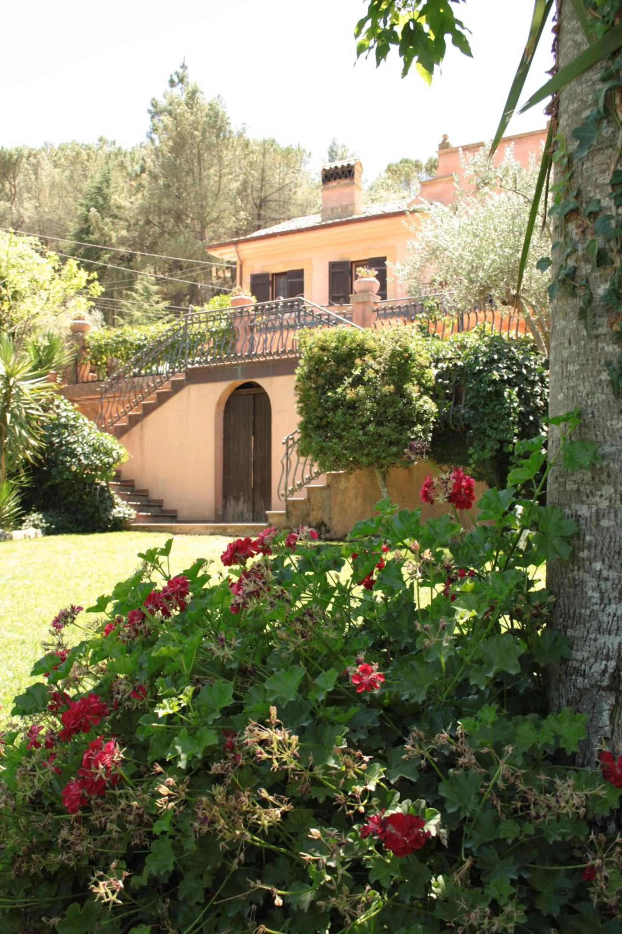 Garden in Villa Clementine