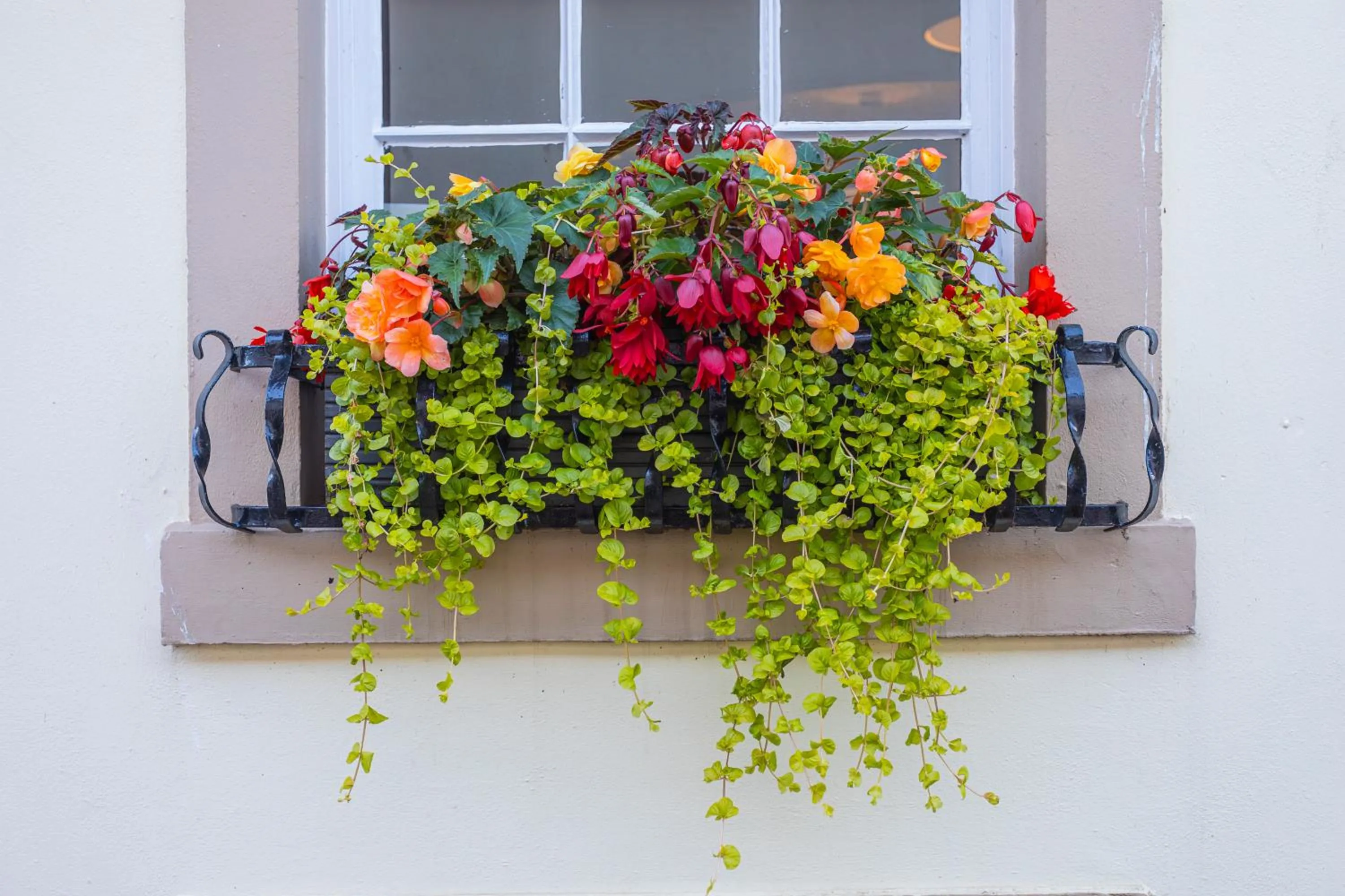 Property building in Georgian House Hotel
