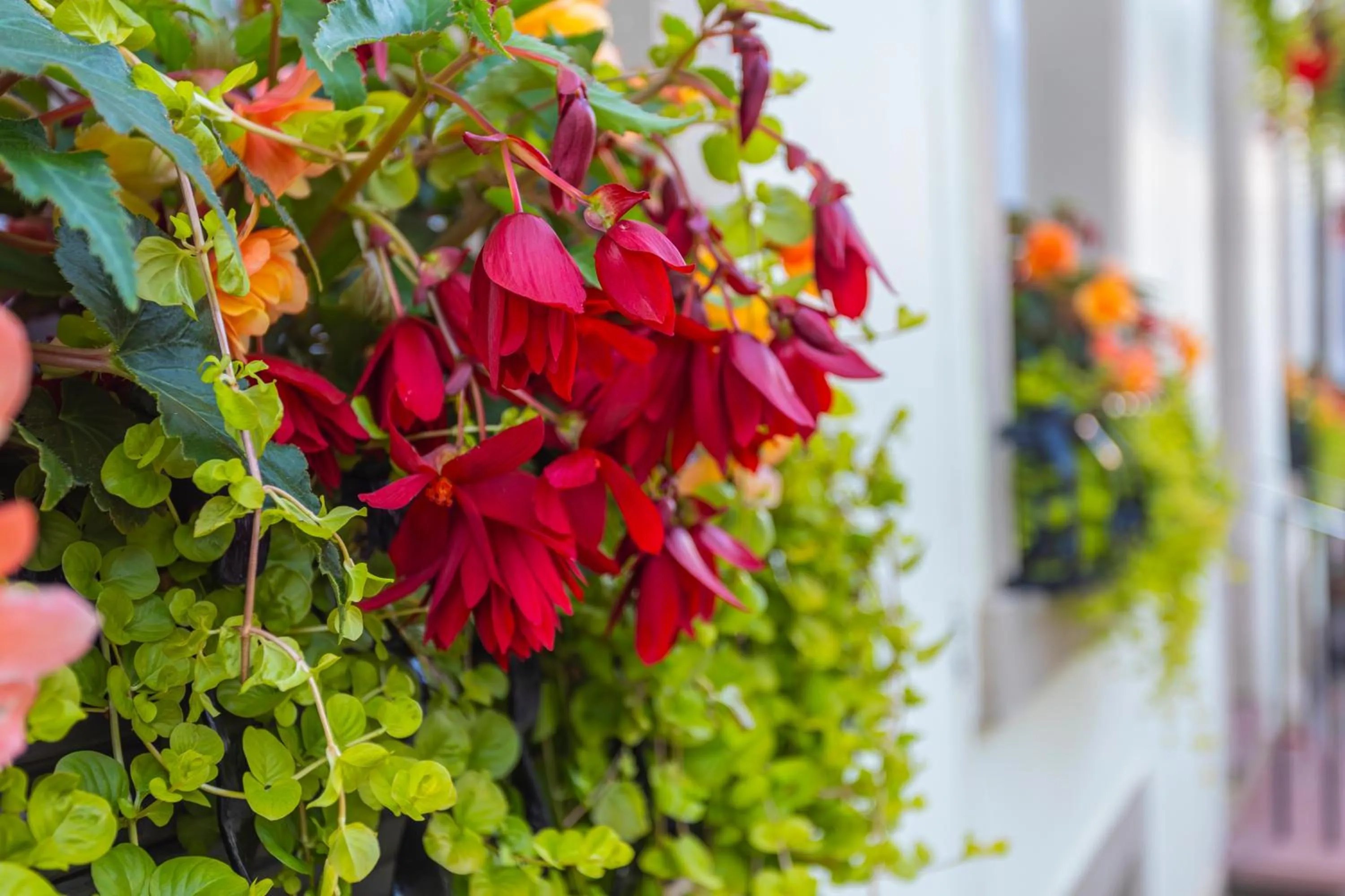 Property building in Georgian House Hotel