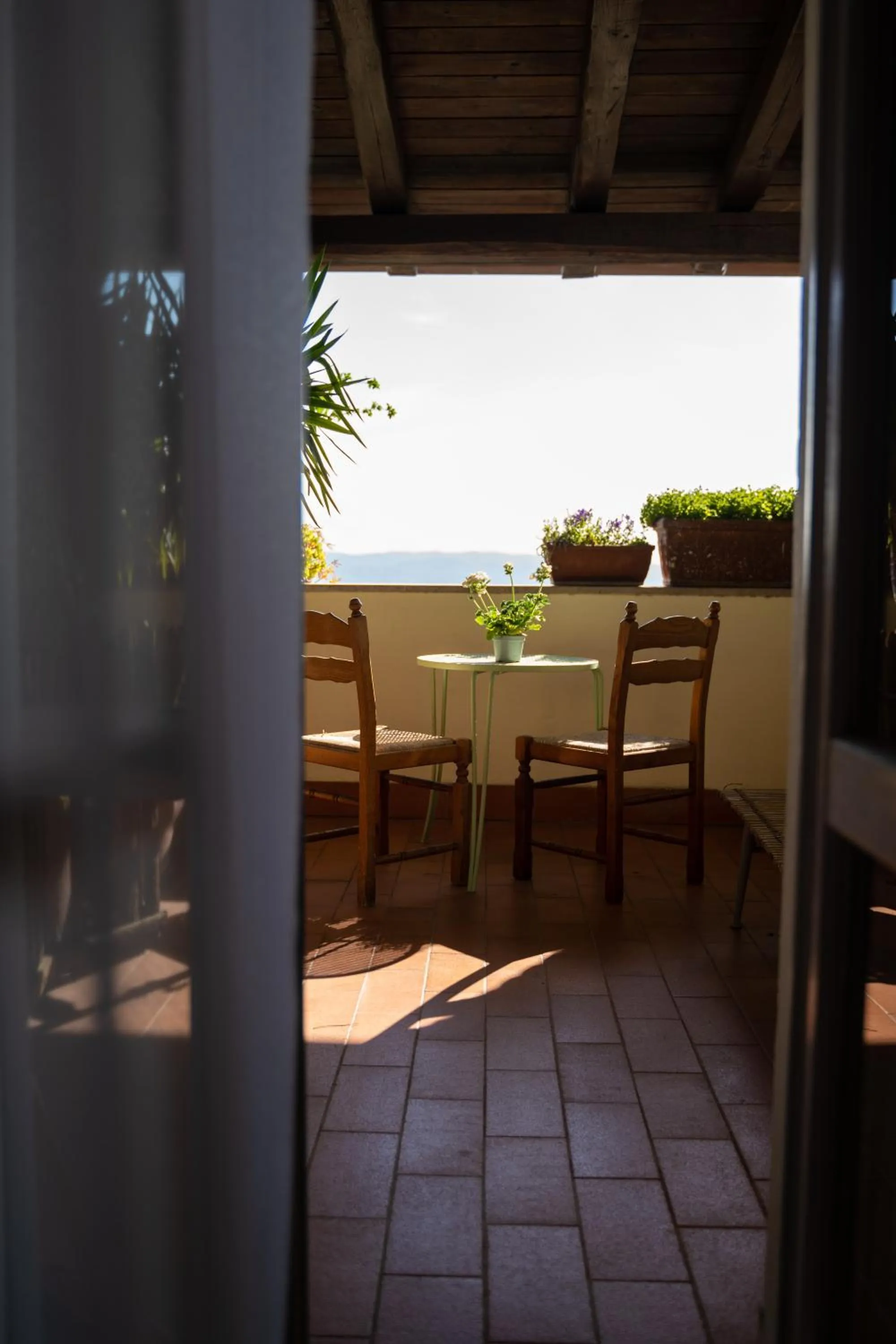 Balcony/Terrace in Hotel Belvedere