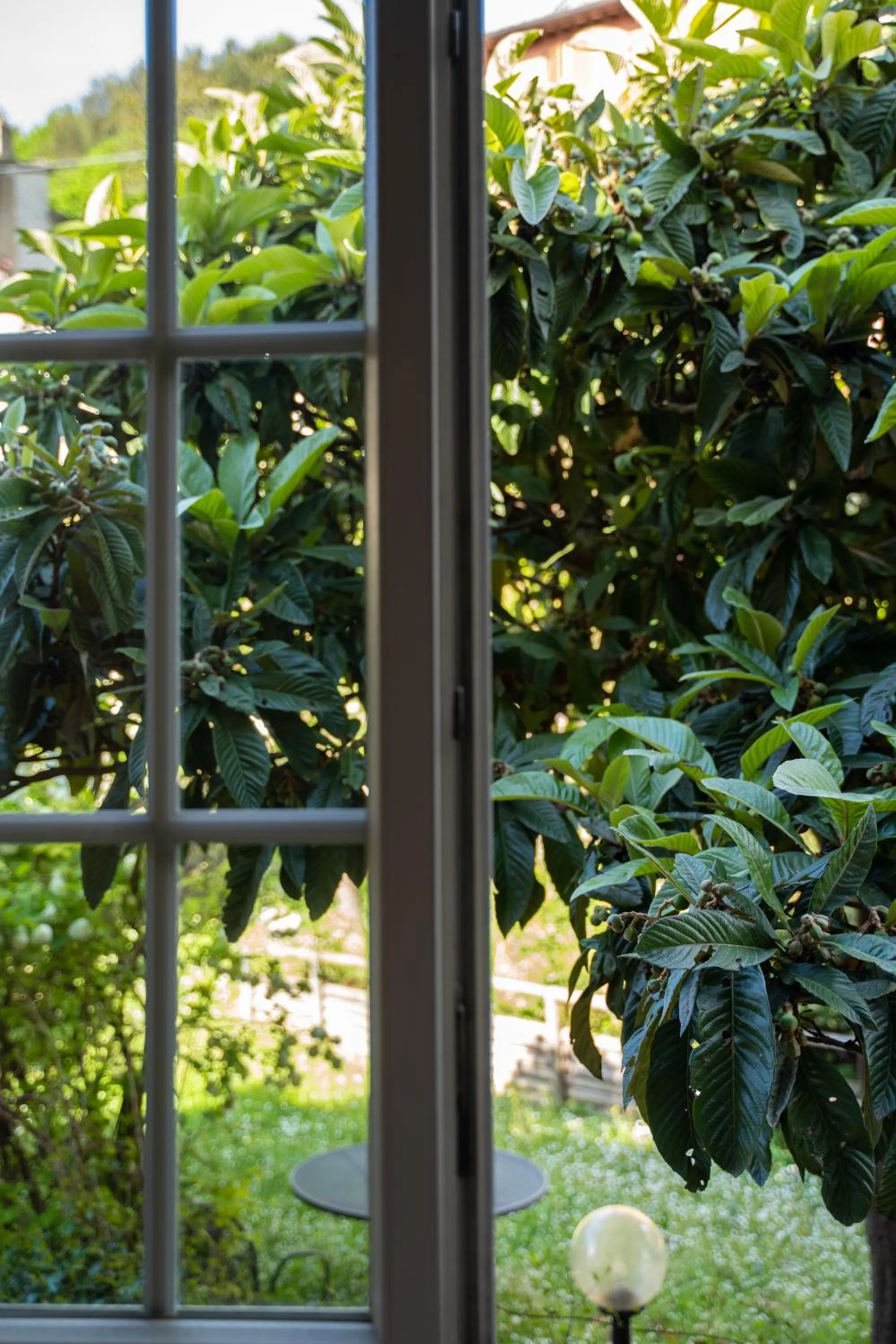 View (from property/room) in Hotel Belvedere