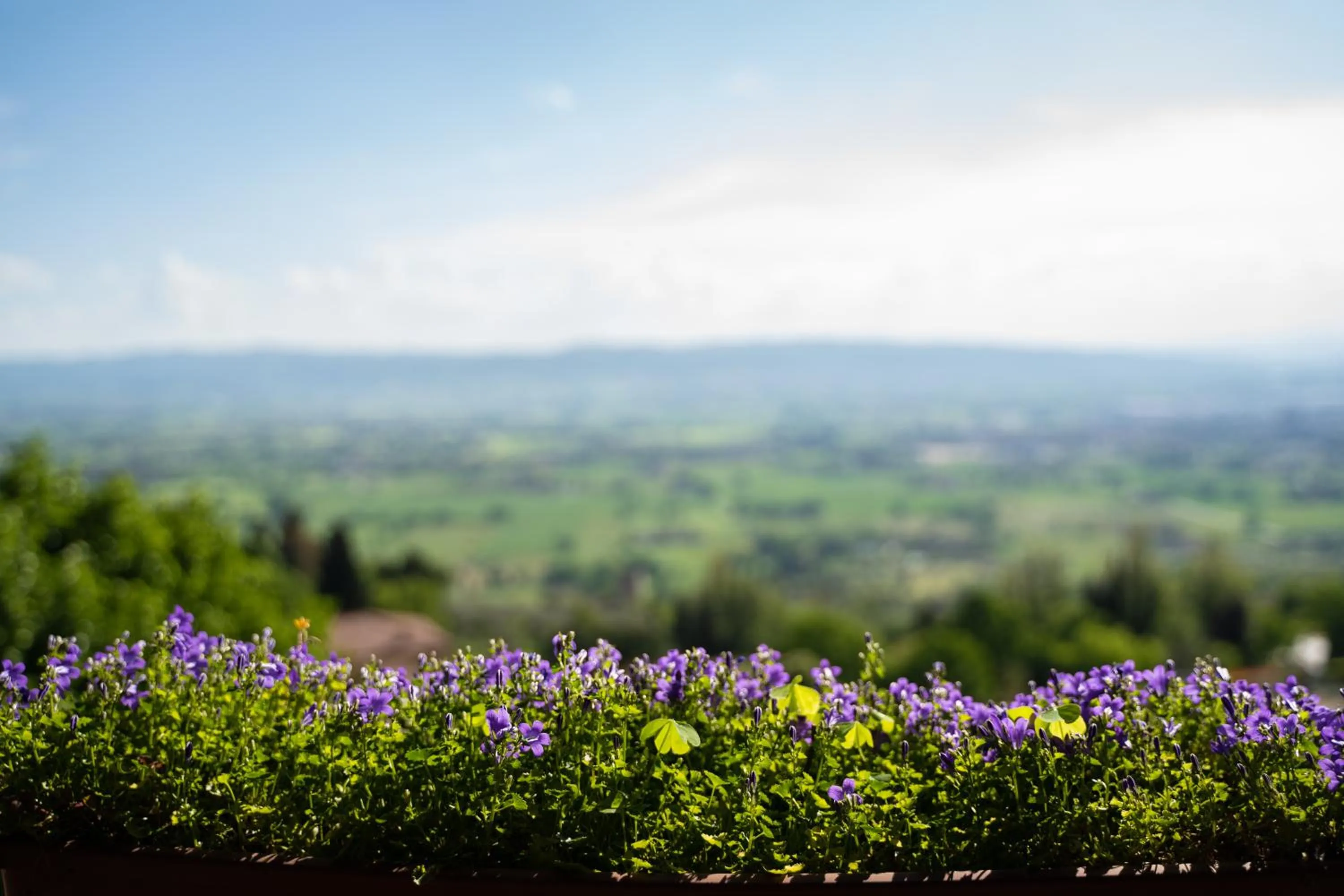 View (from property/room) in Hotel Belvedere