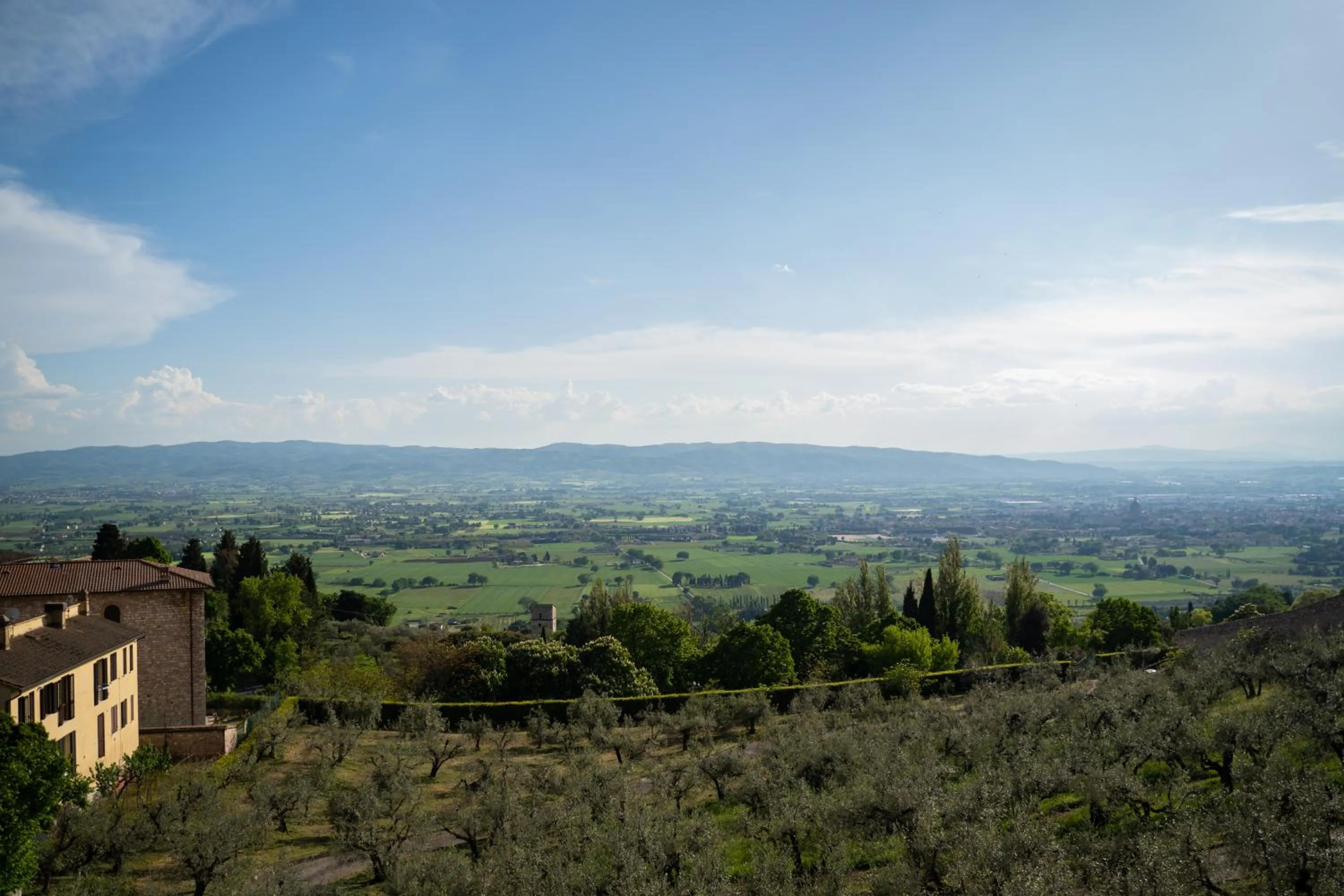 View (from property/room) in Hotel Belvedere