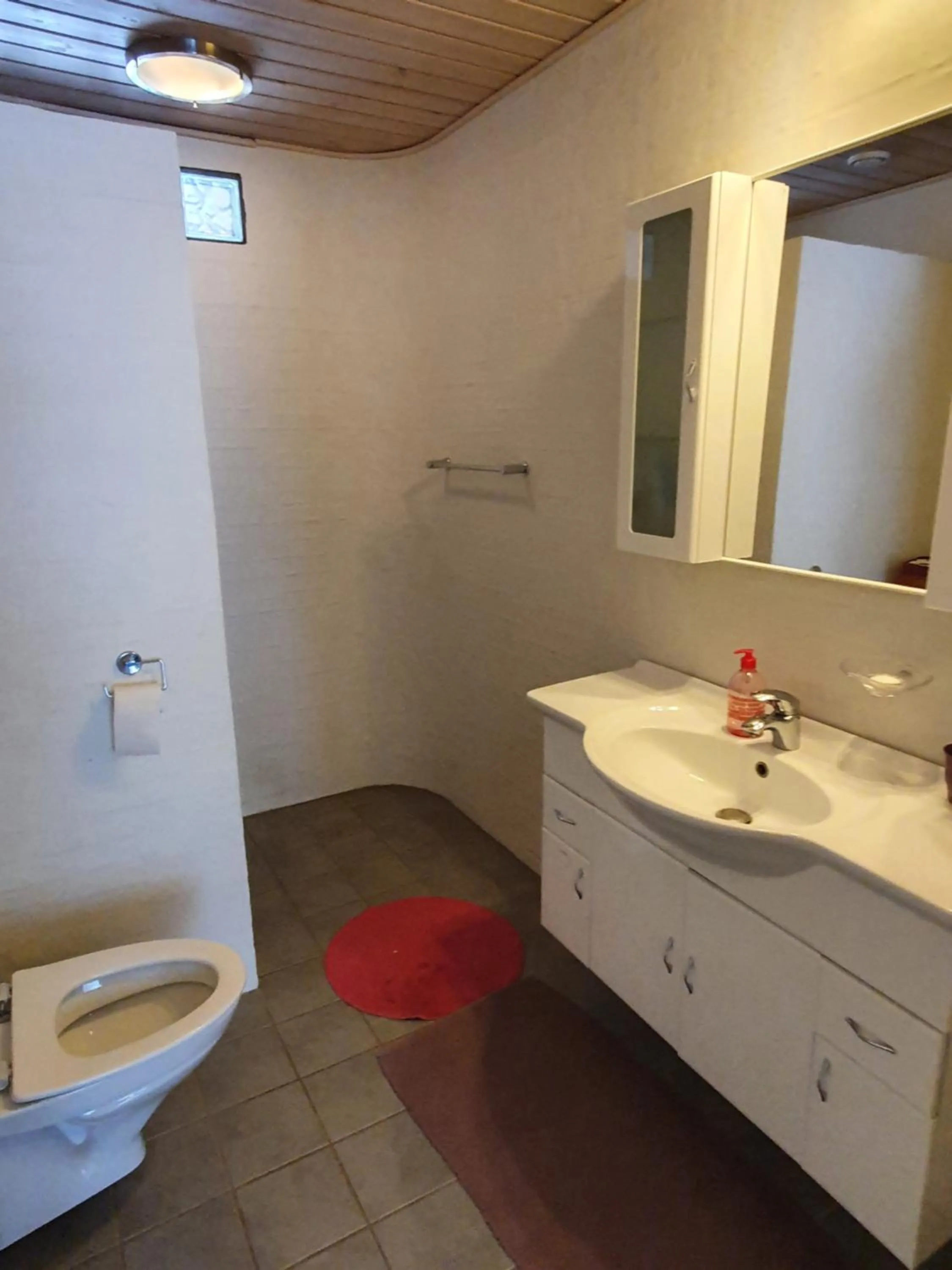 Double Room with Shared Bathroom in Holtegaard Bed & Breakfast