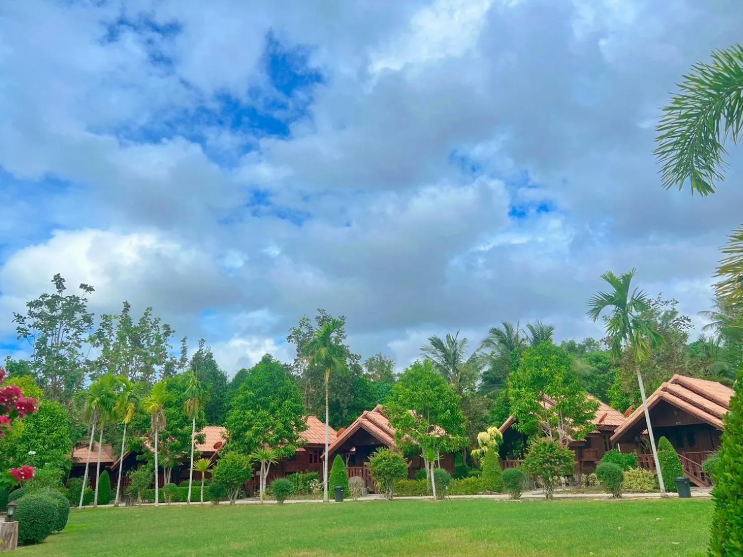 Garden in Diamond Beach Resort