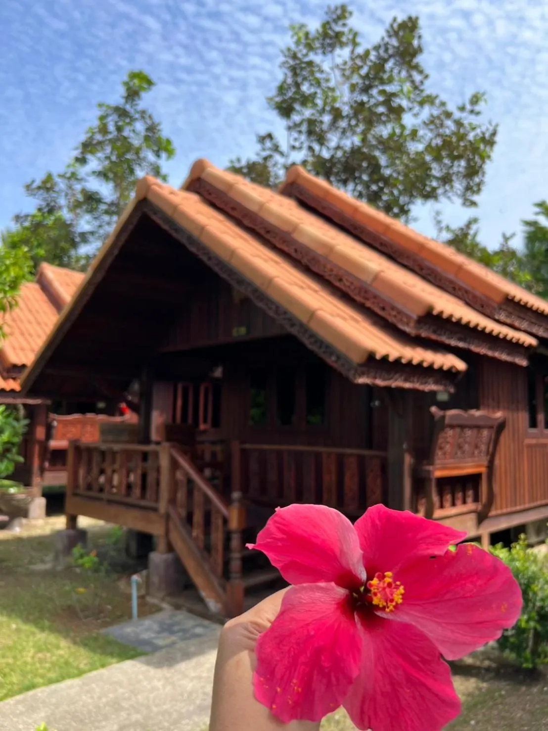 Garden in Diamond Beach Resort