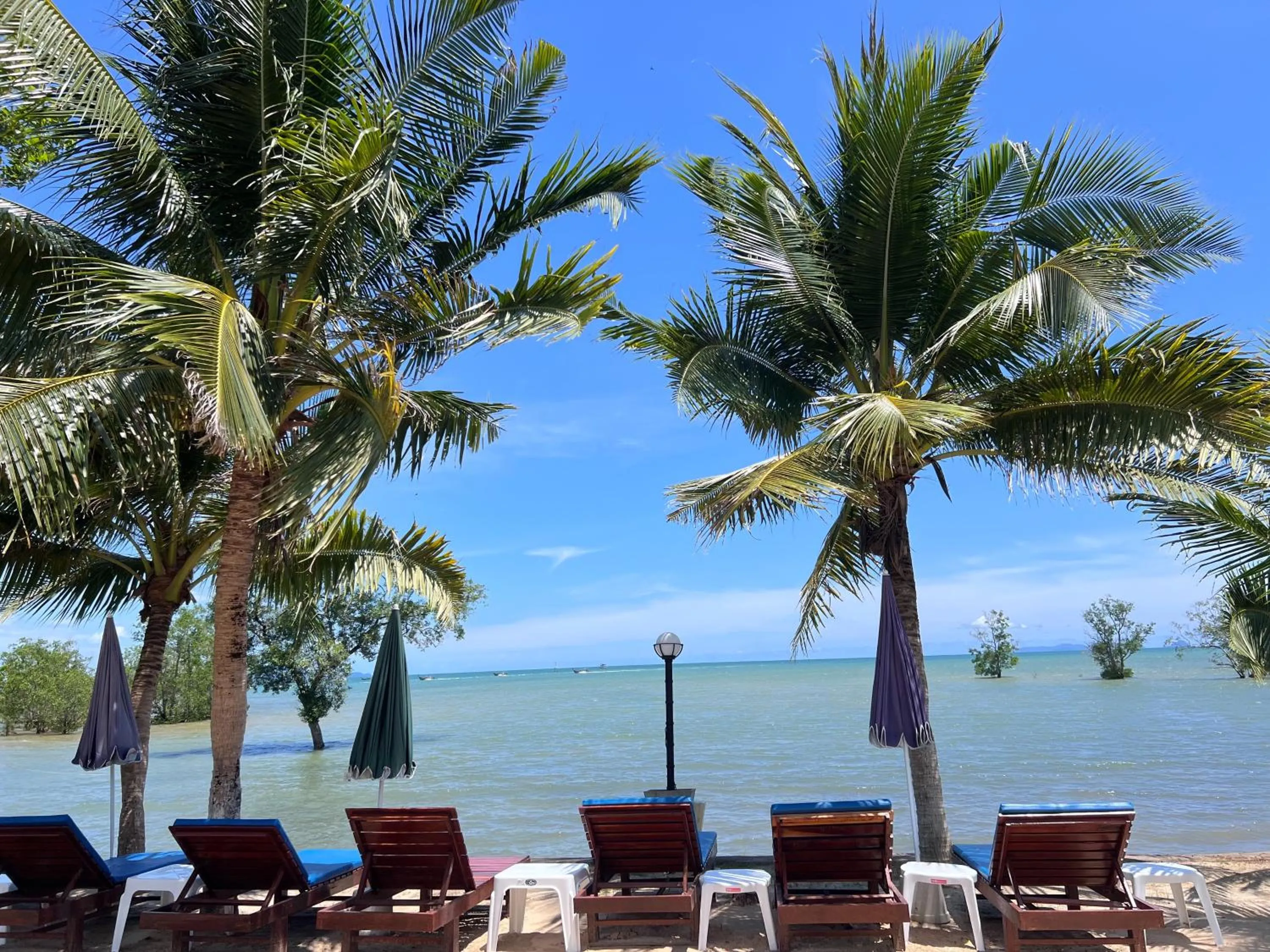 Natural landscape in Diamond Beach Resort