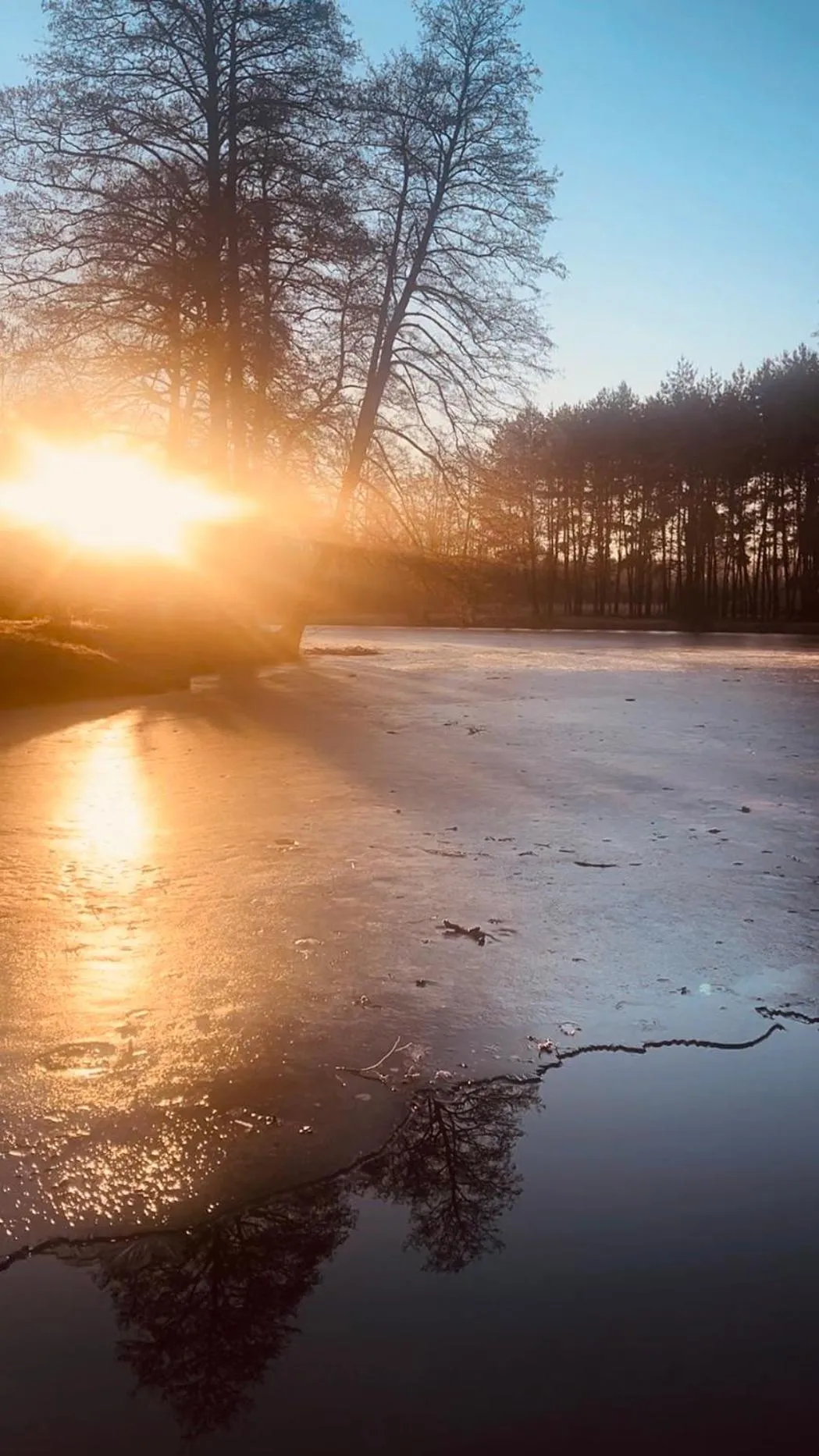 Lake view in Wellness hotel Spark