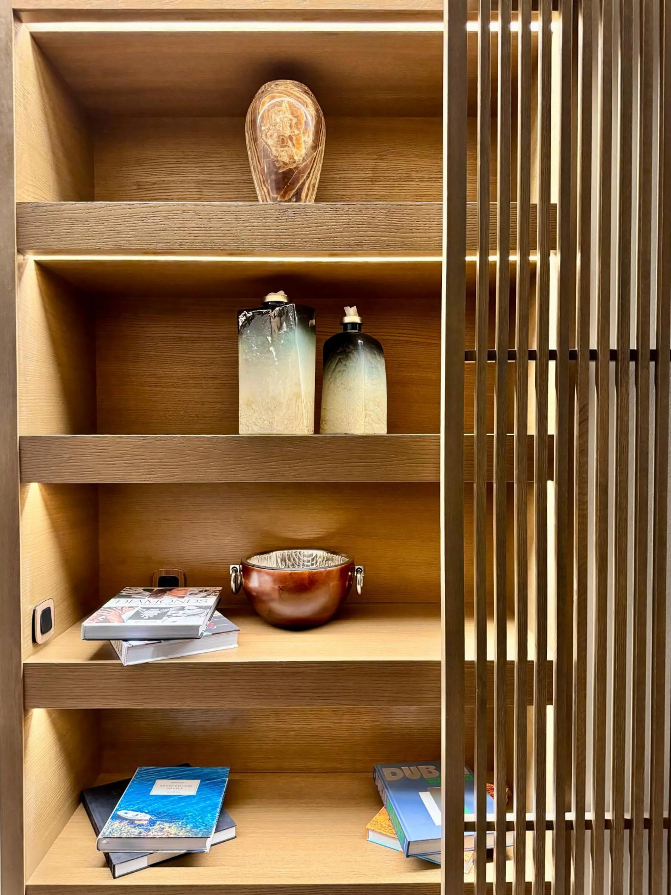 Library in One 360 Skyline Athens Penthouses