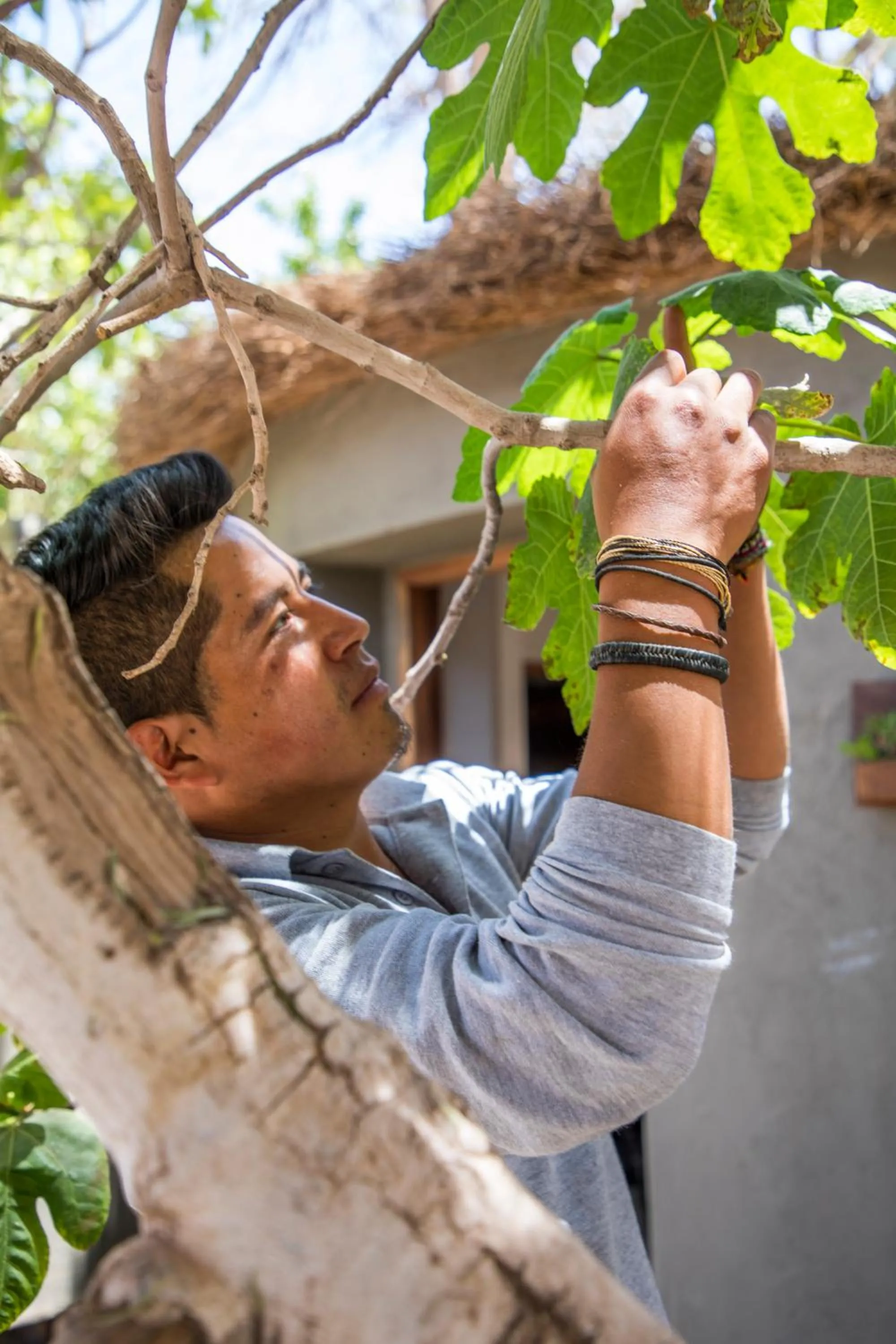 Property building in Hotel Desertica