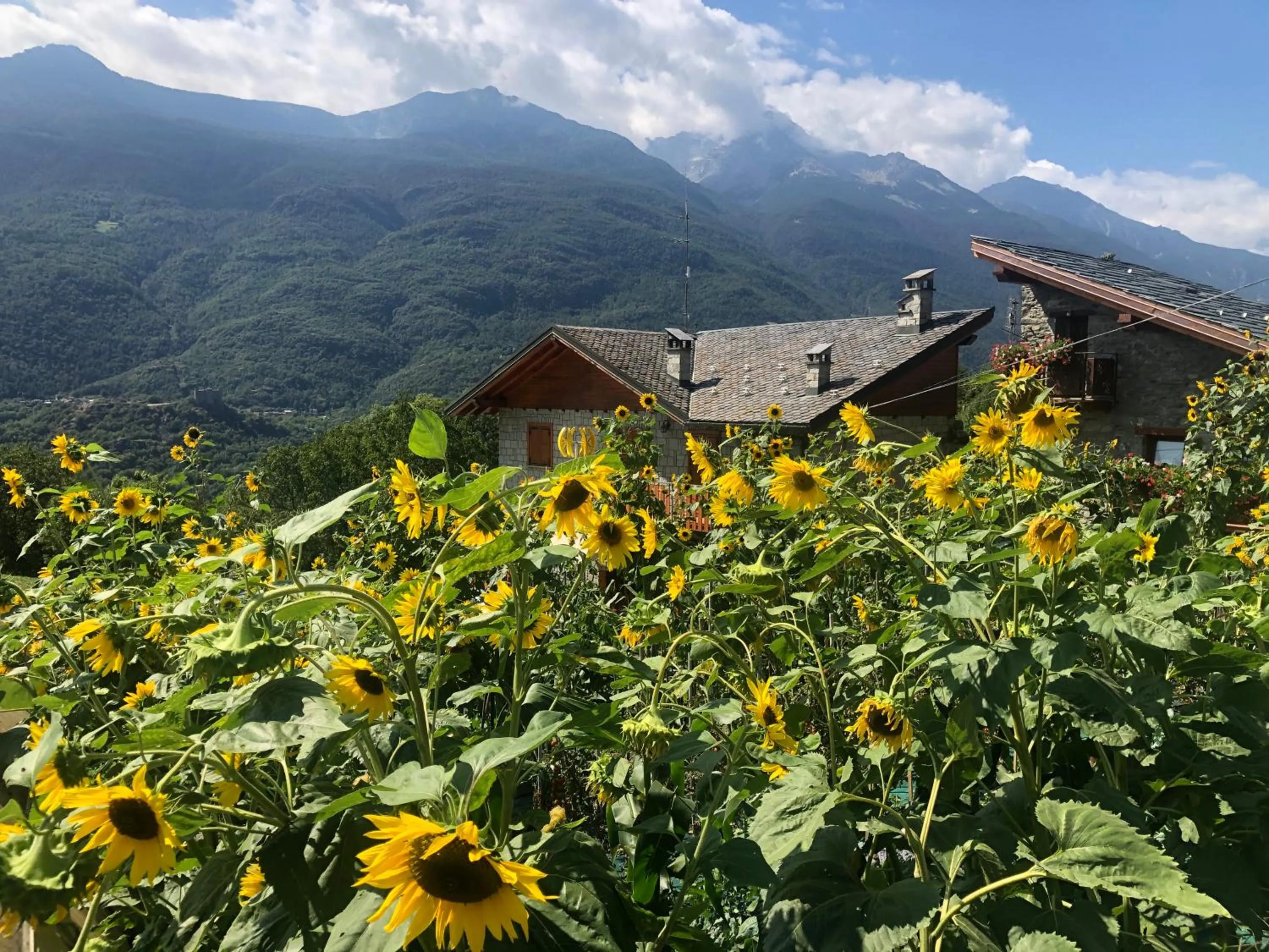 Natural landscape in Paradise Hotel & Wellness