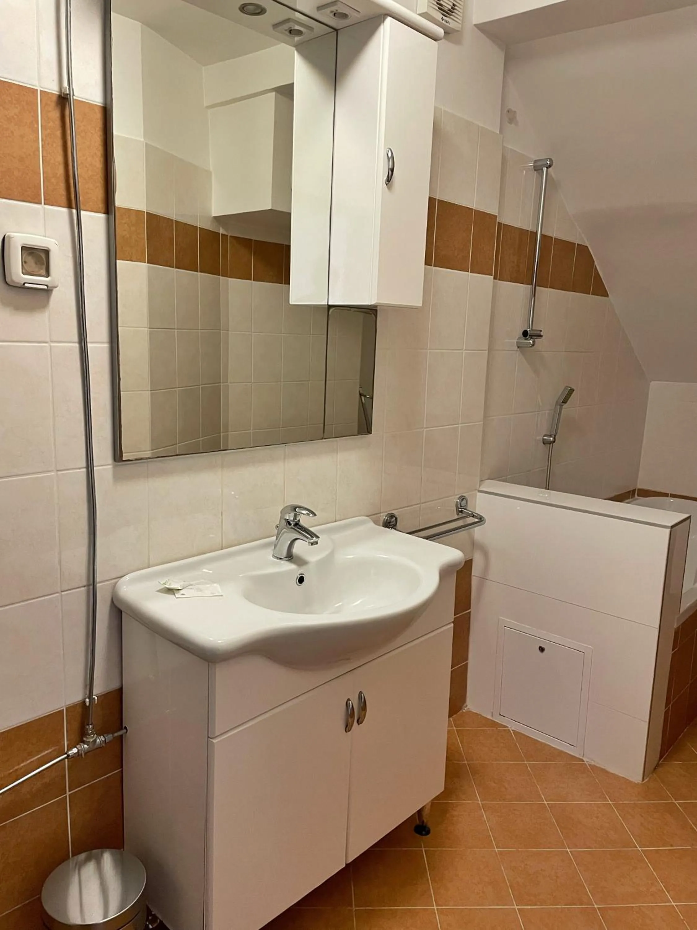 Toilet in Hostel Pipištrelo