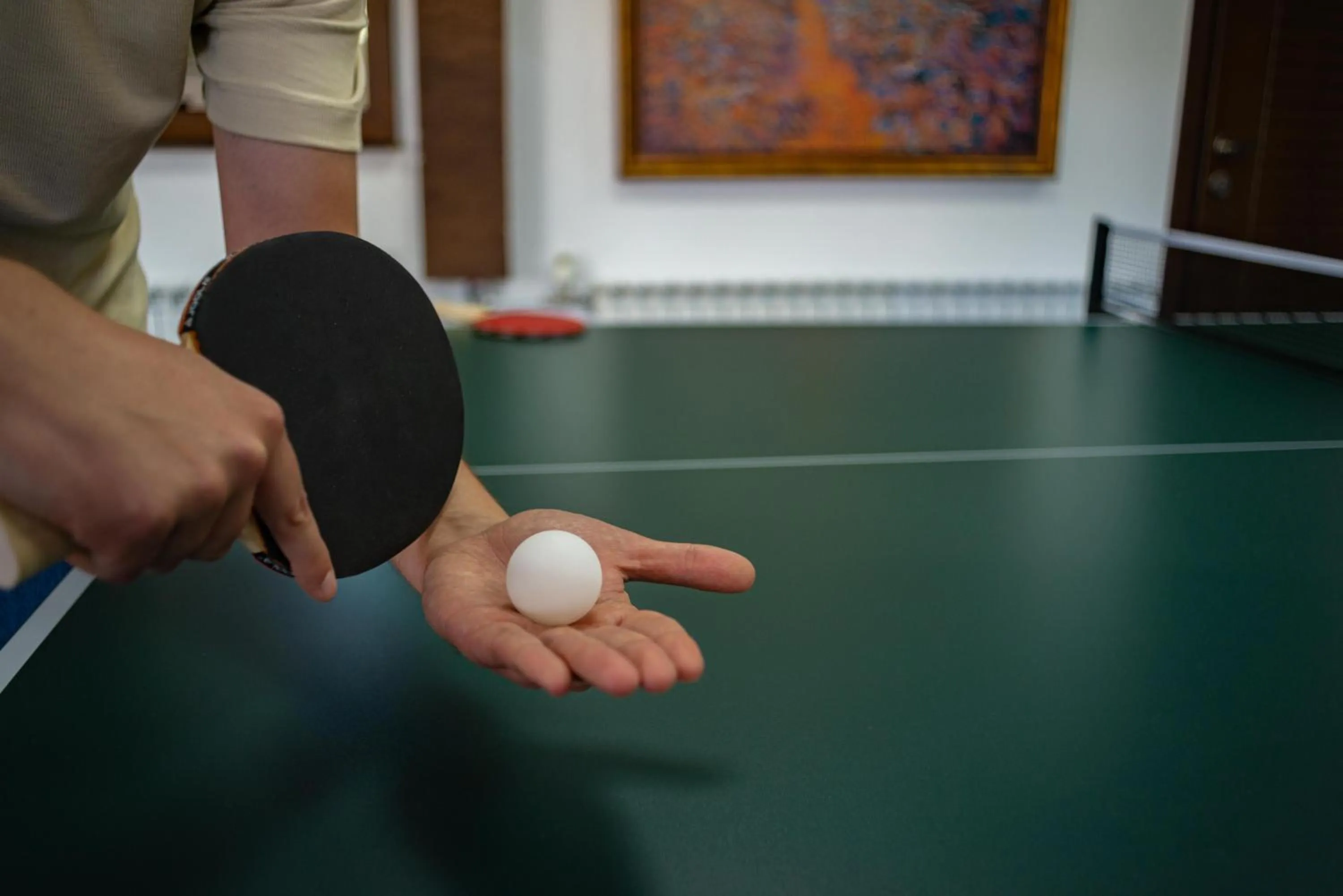 Game Room in Hotel Montana SPA