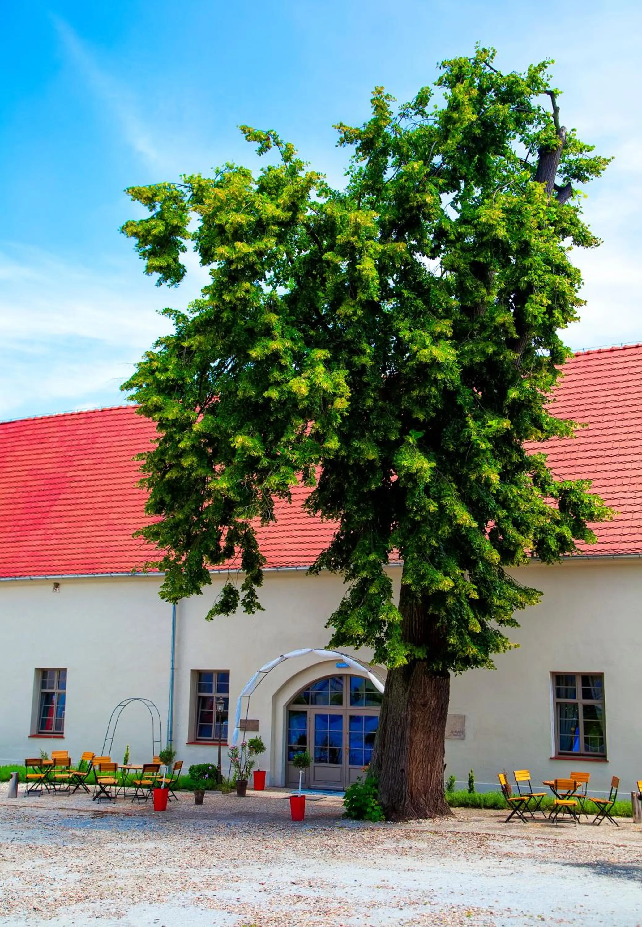 Facade/entrance in Pałac Wiechlice - Hotel, Restaurant, SPA