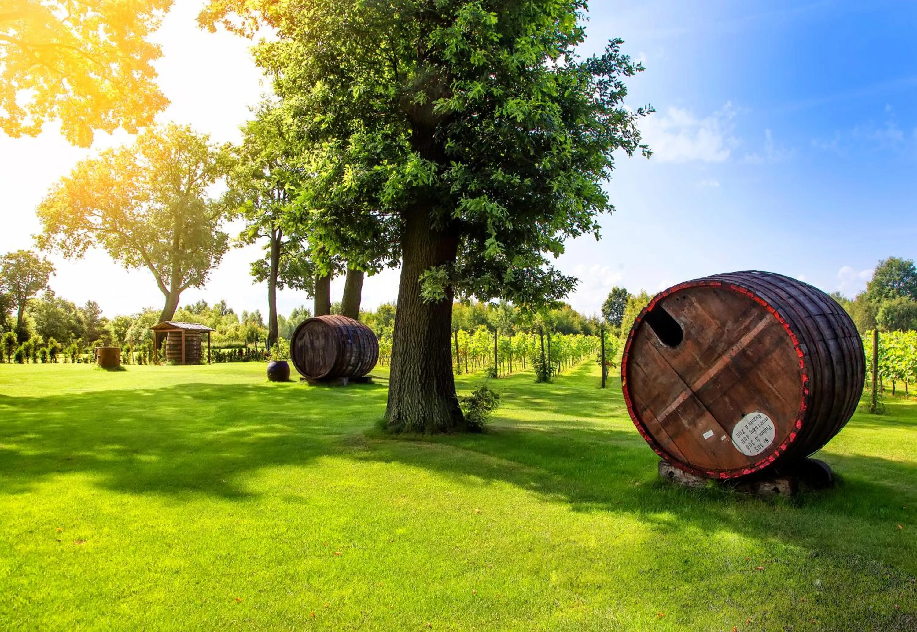 Natural landscape in Pałac Wiechlice - Hotel, Restaurant, SPA