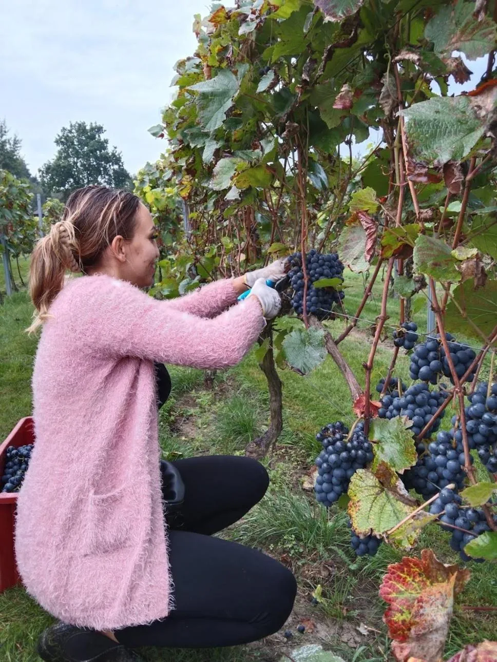 People in Pałac Wiechlice - Hotel, Restaurant, SPA