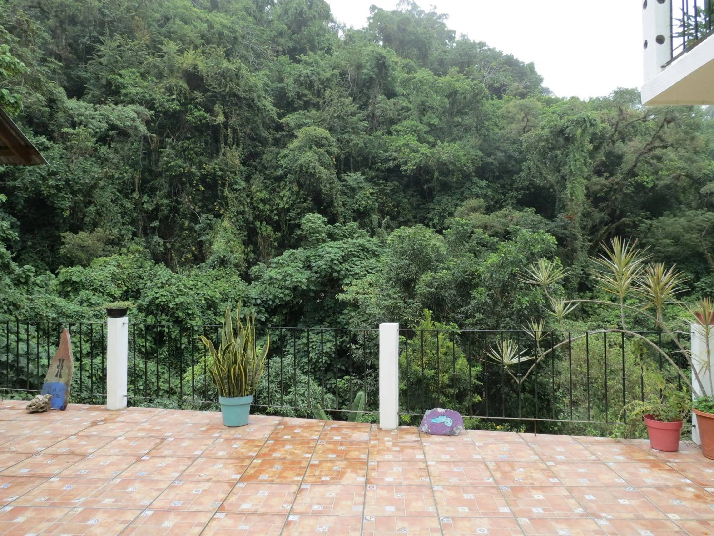Balcony/Terrace in Casa Verde Xilitla By Rotamundos