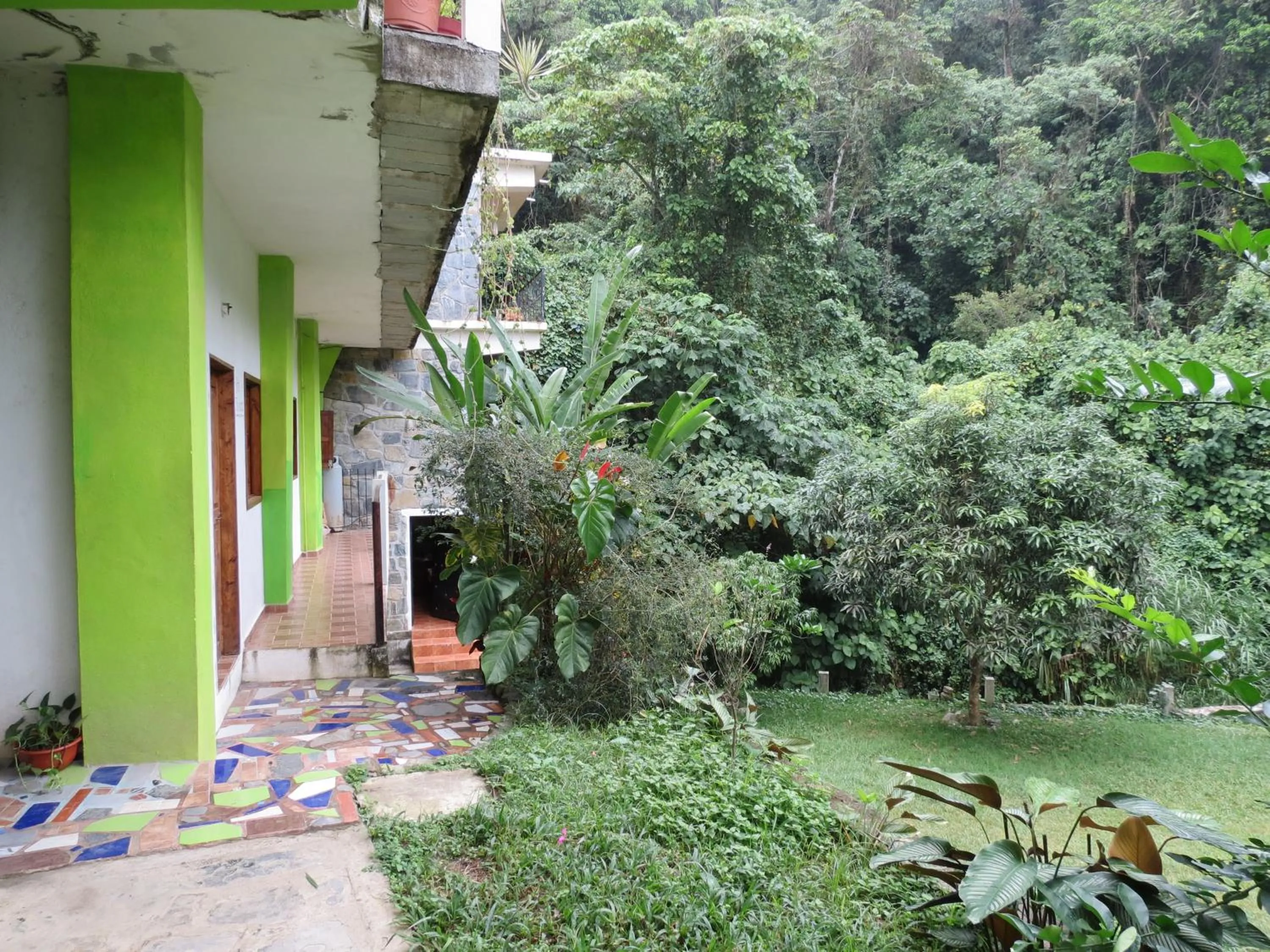 Garden in Casa Verde Xilitla By Rotamundos