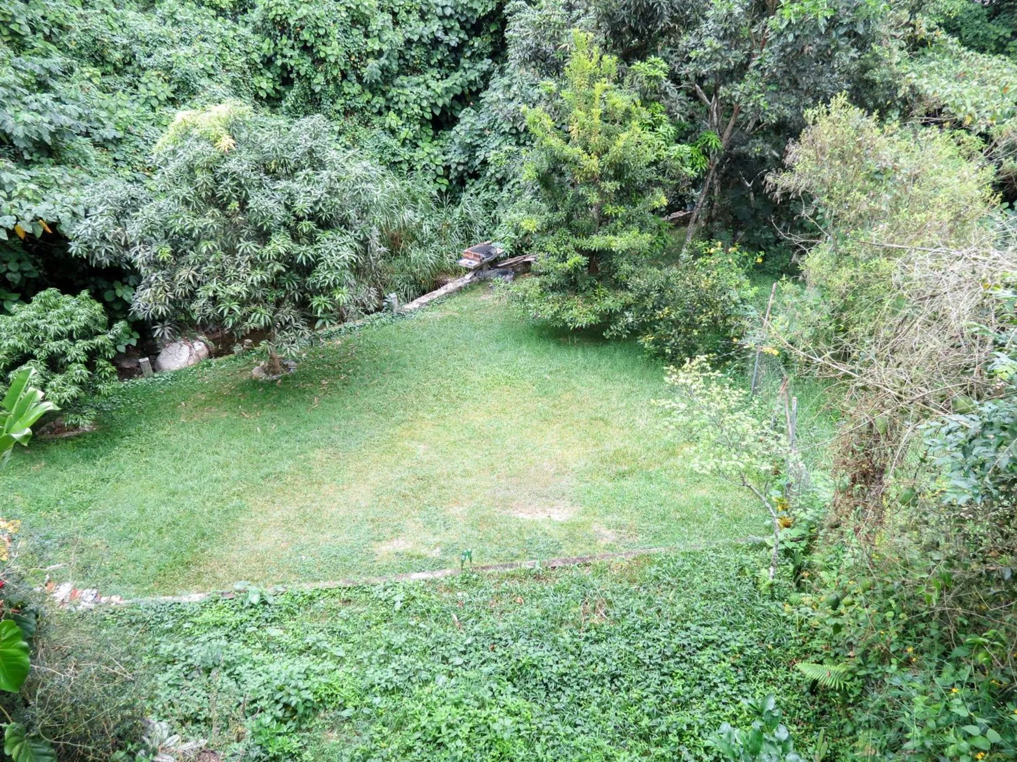 Casa Verde Xilitla By Rotamundos