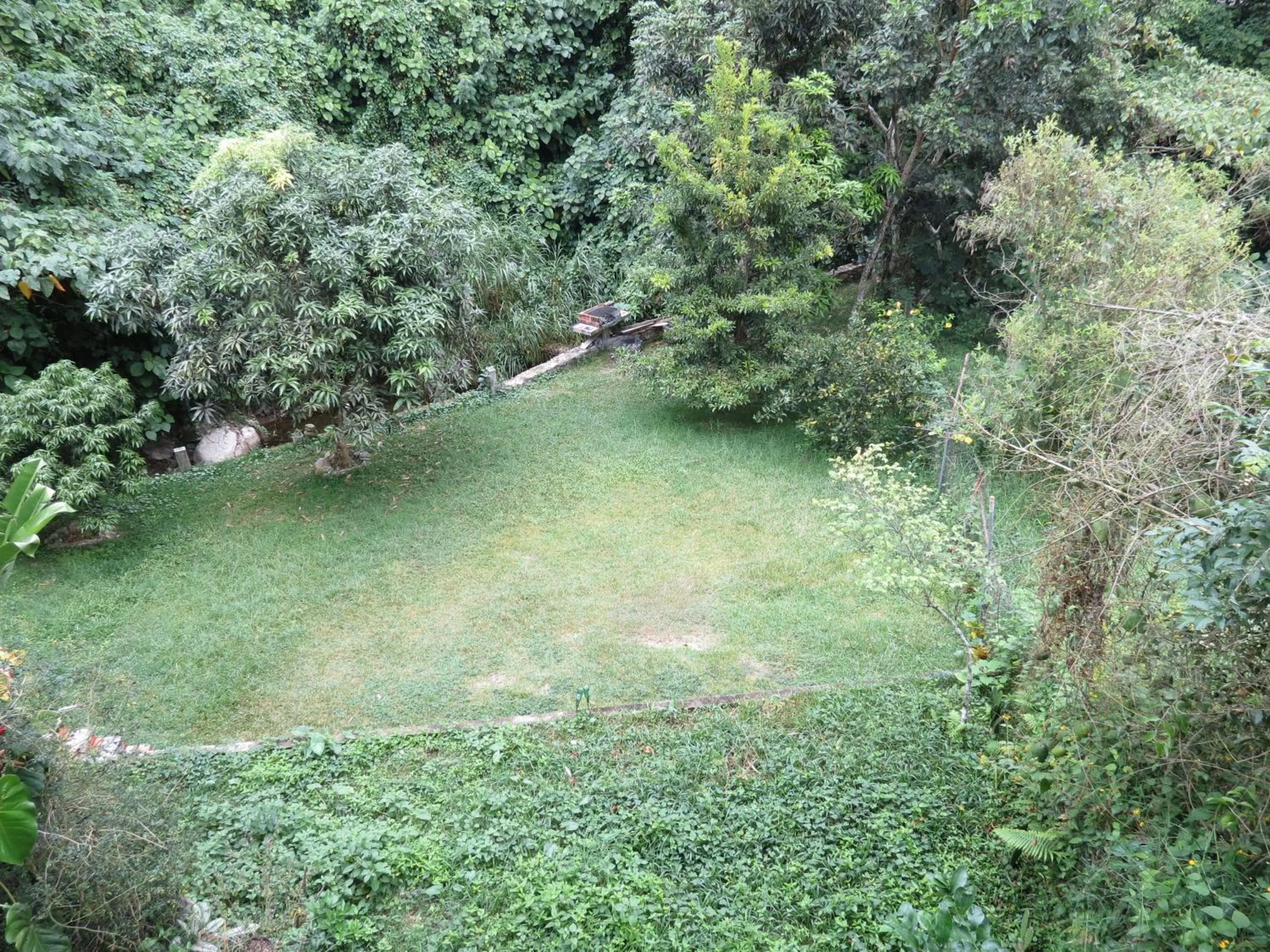 Garden in Casa Verde Xilitla By Rotamundos